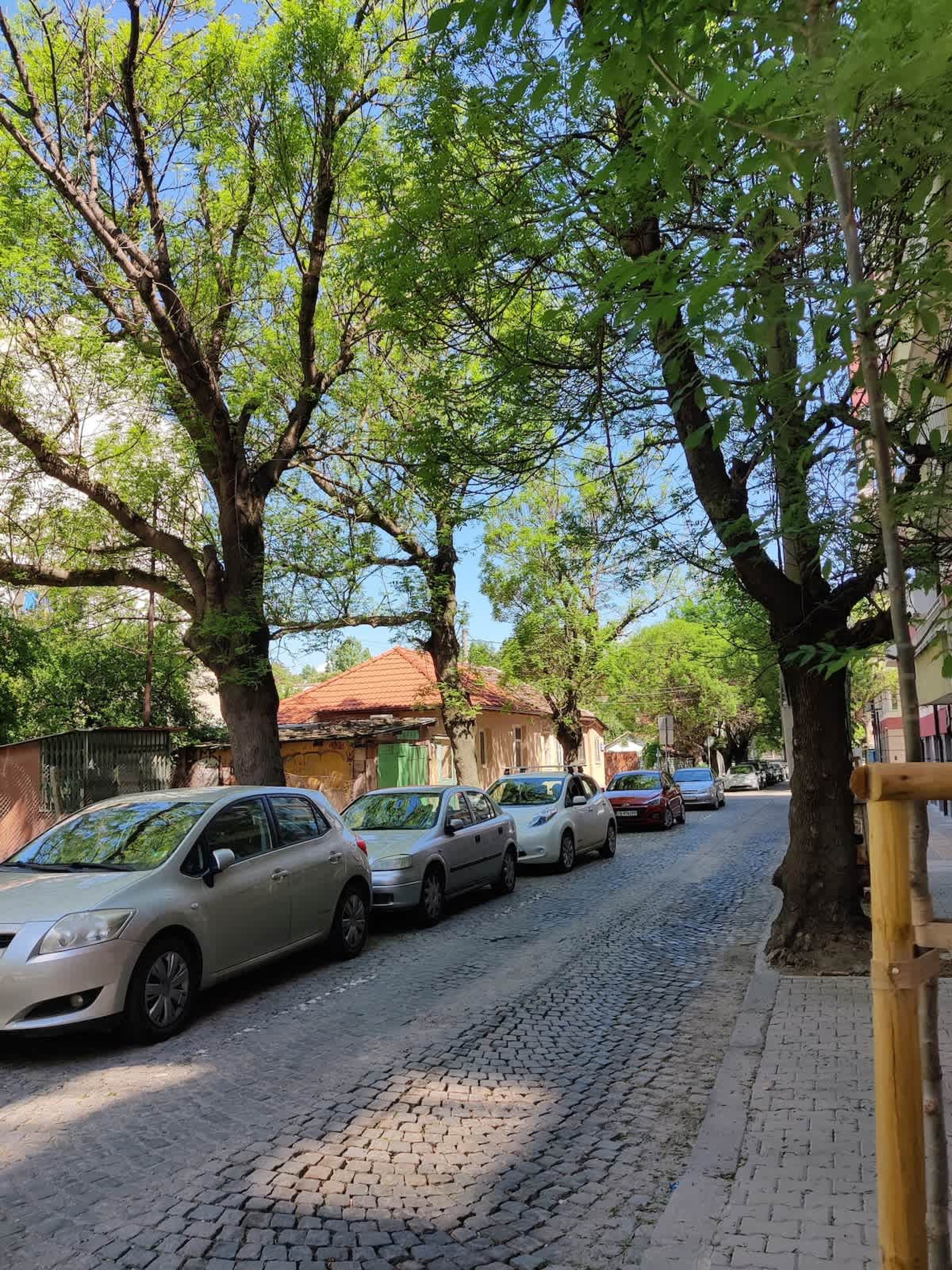 Scoutaround White Logo