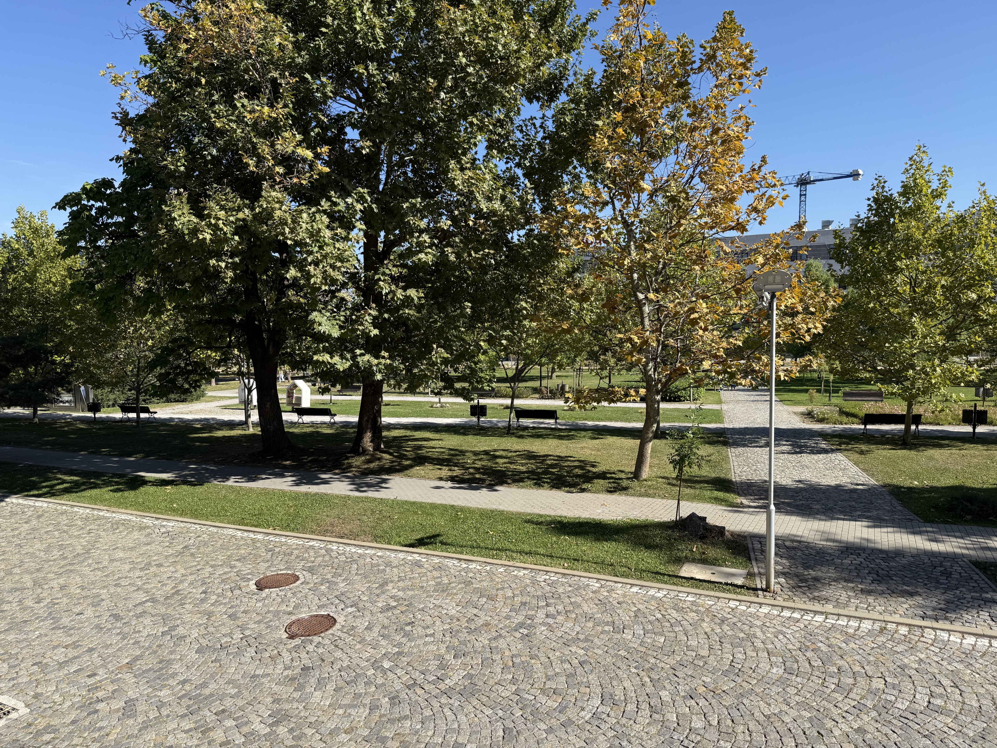 Scoutaround White Logo