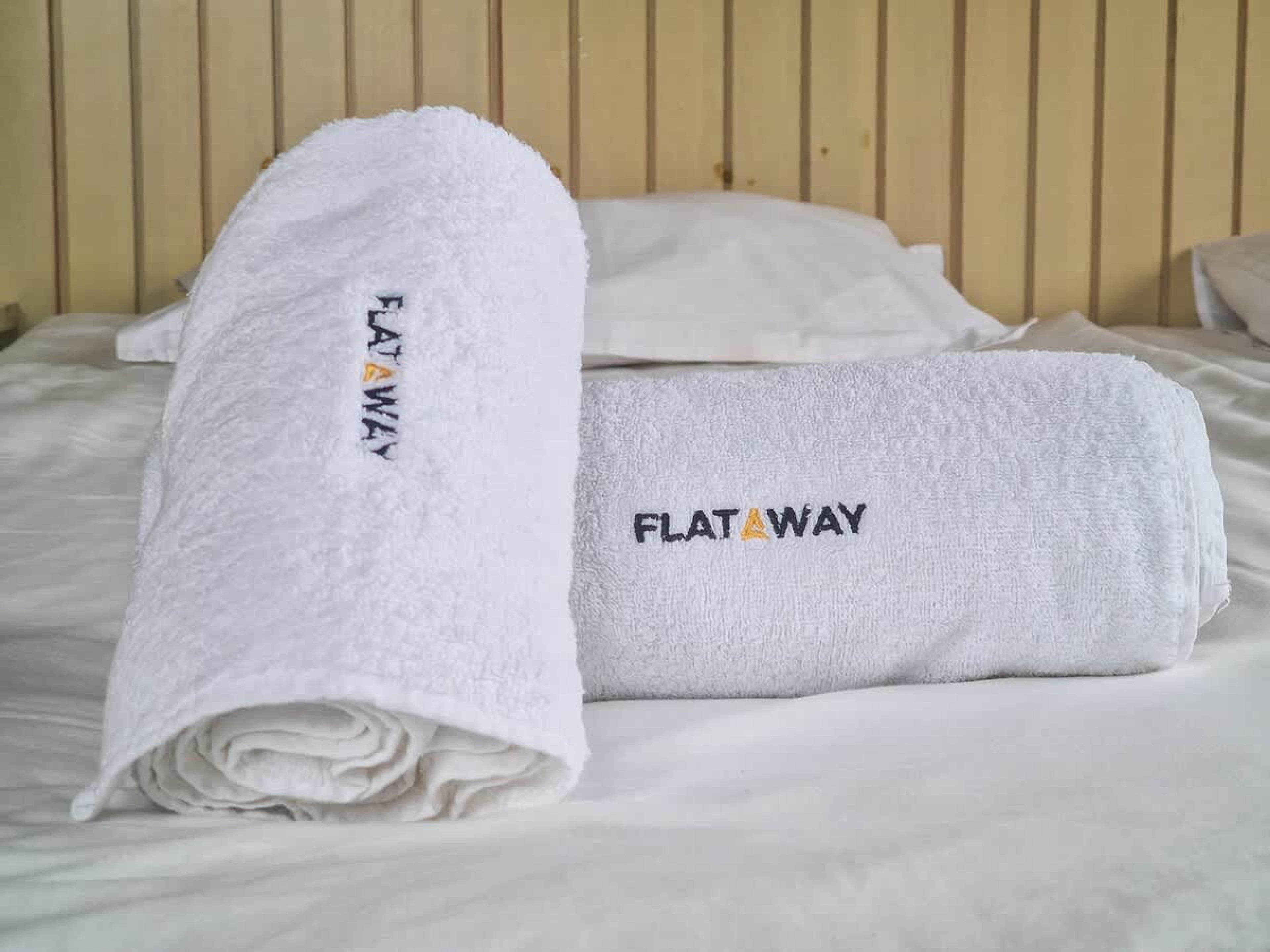 Scoutaround White Logo