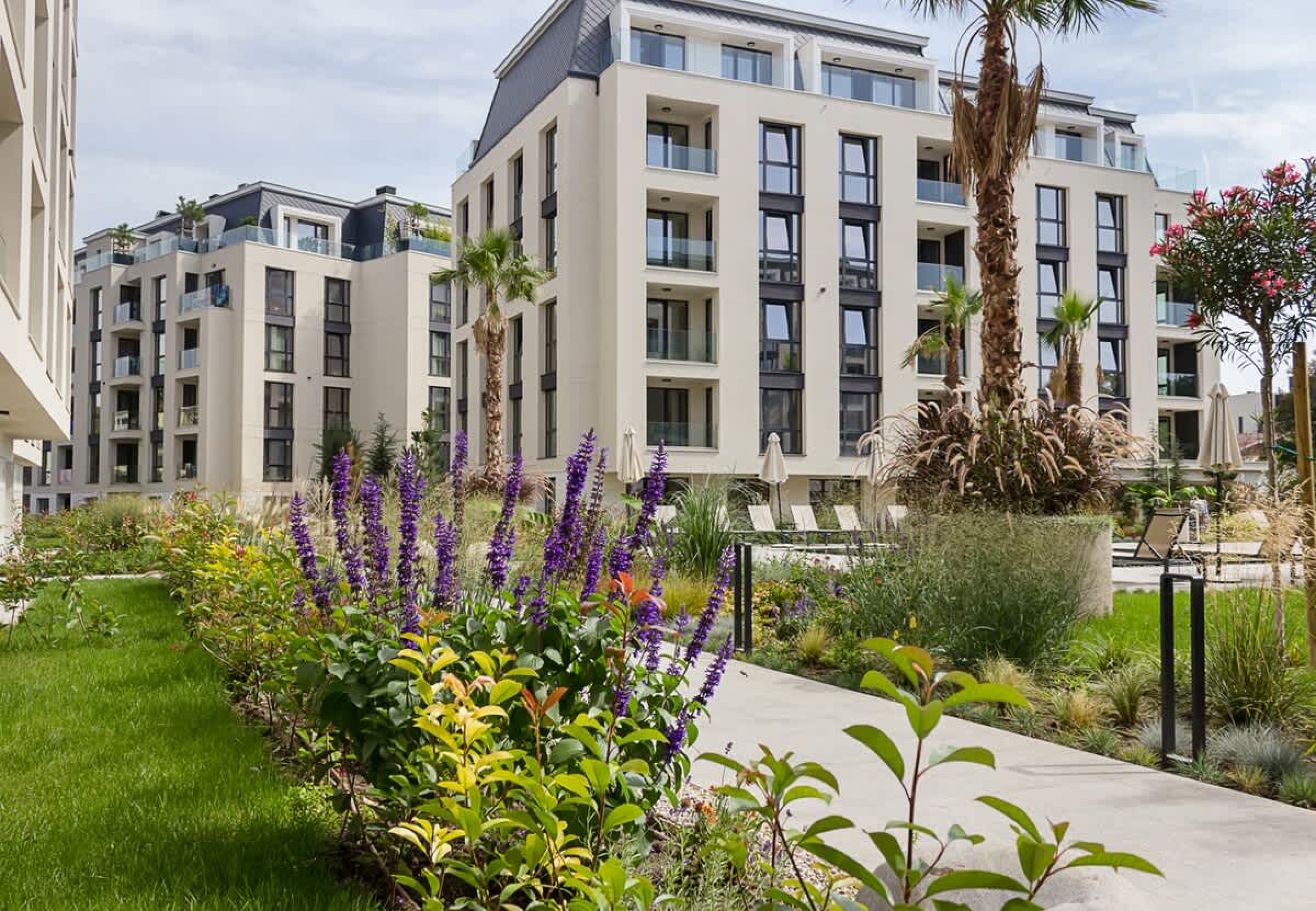 Scoutaround White Logo