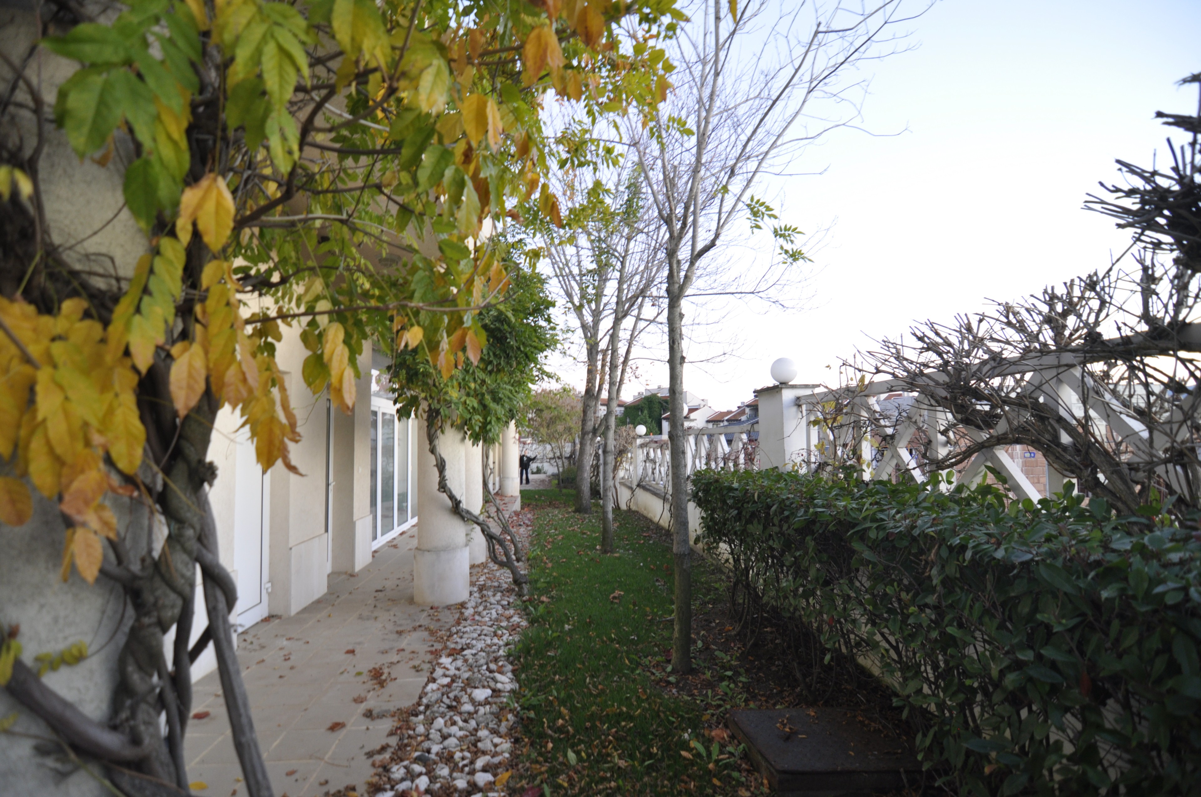 Scoutaround White Logo