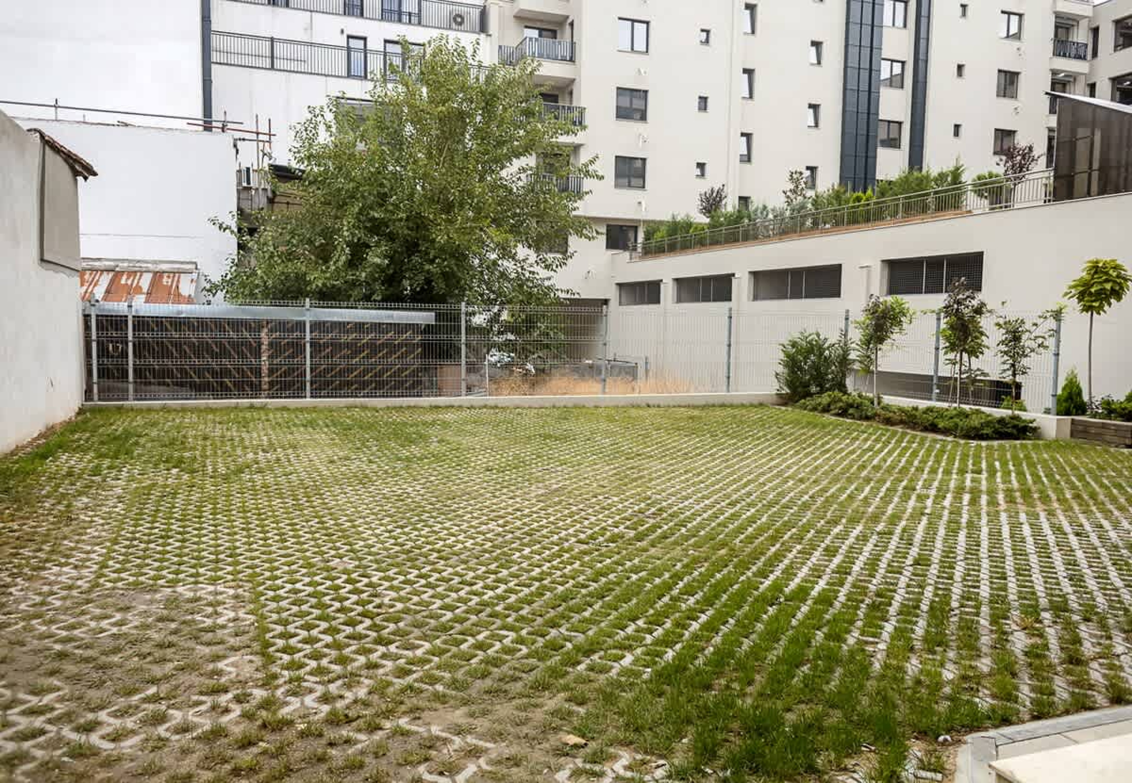 Scoutaround White Logo