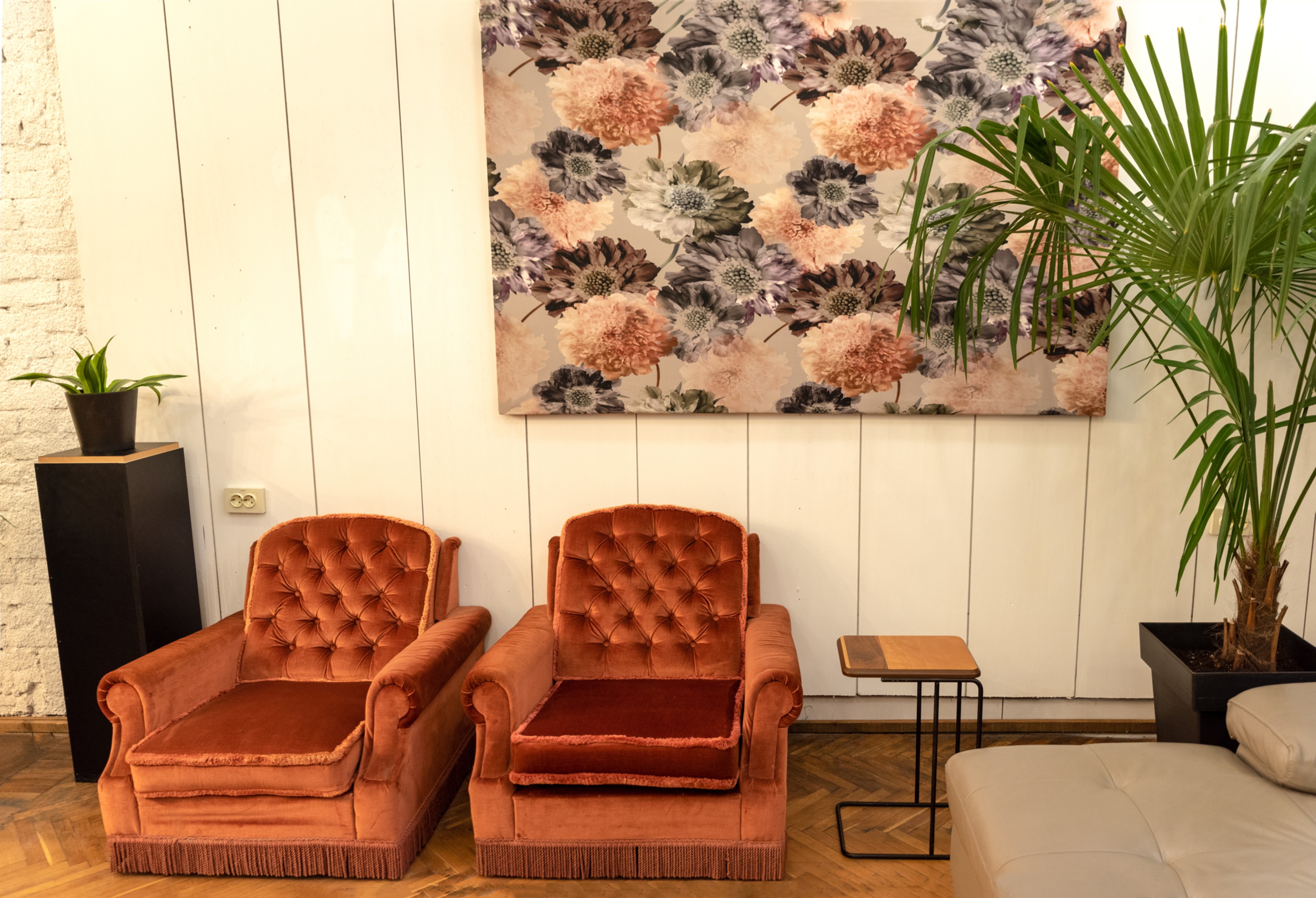 Scoutaround White Logo