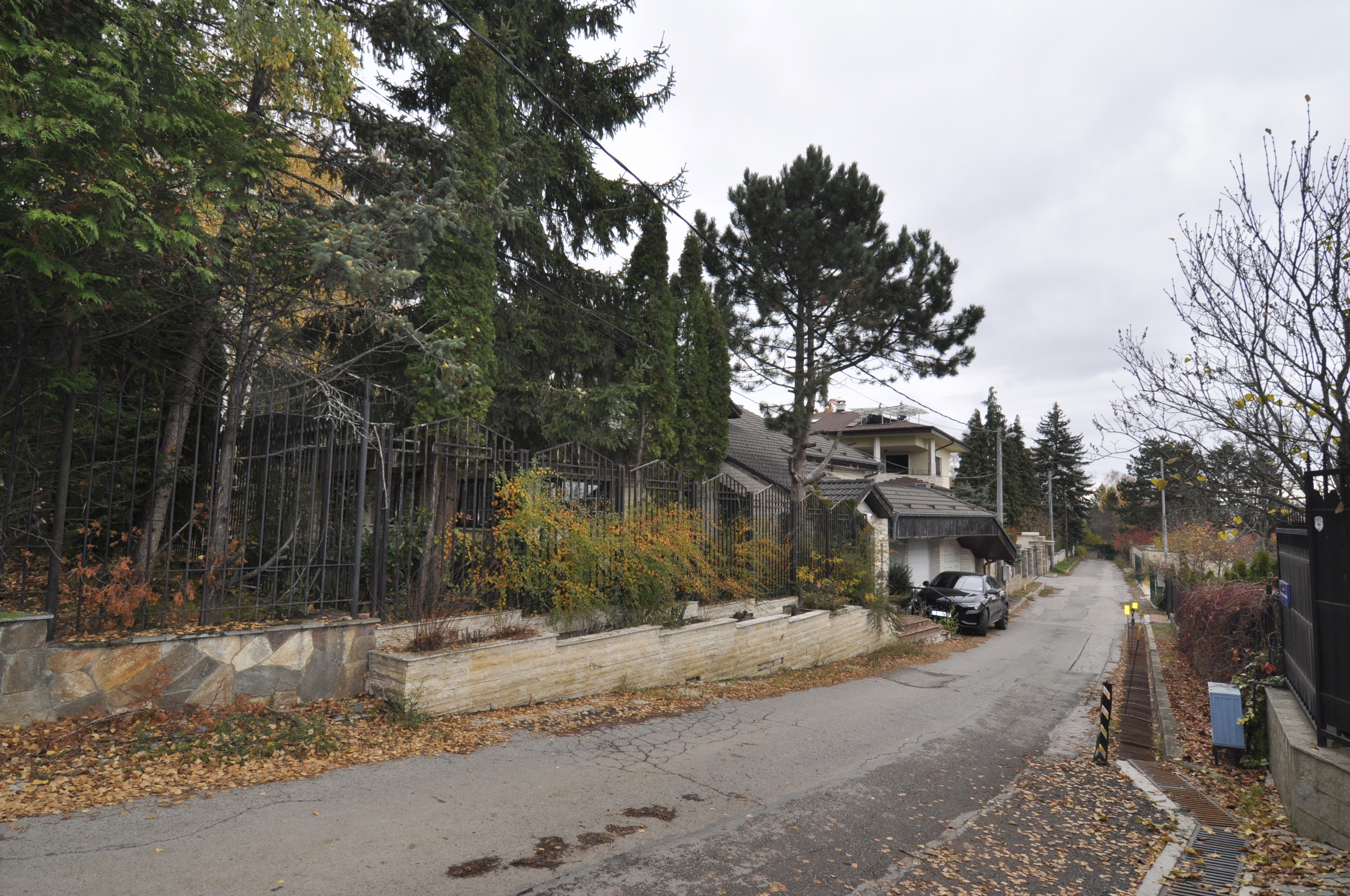 Scoutaround White Logo