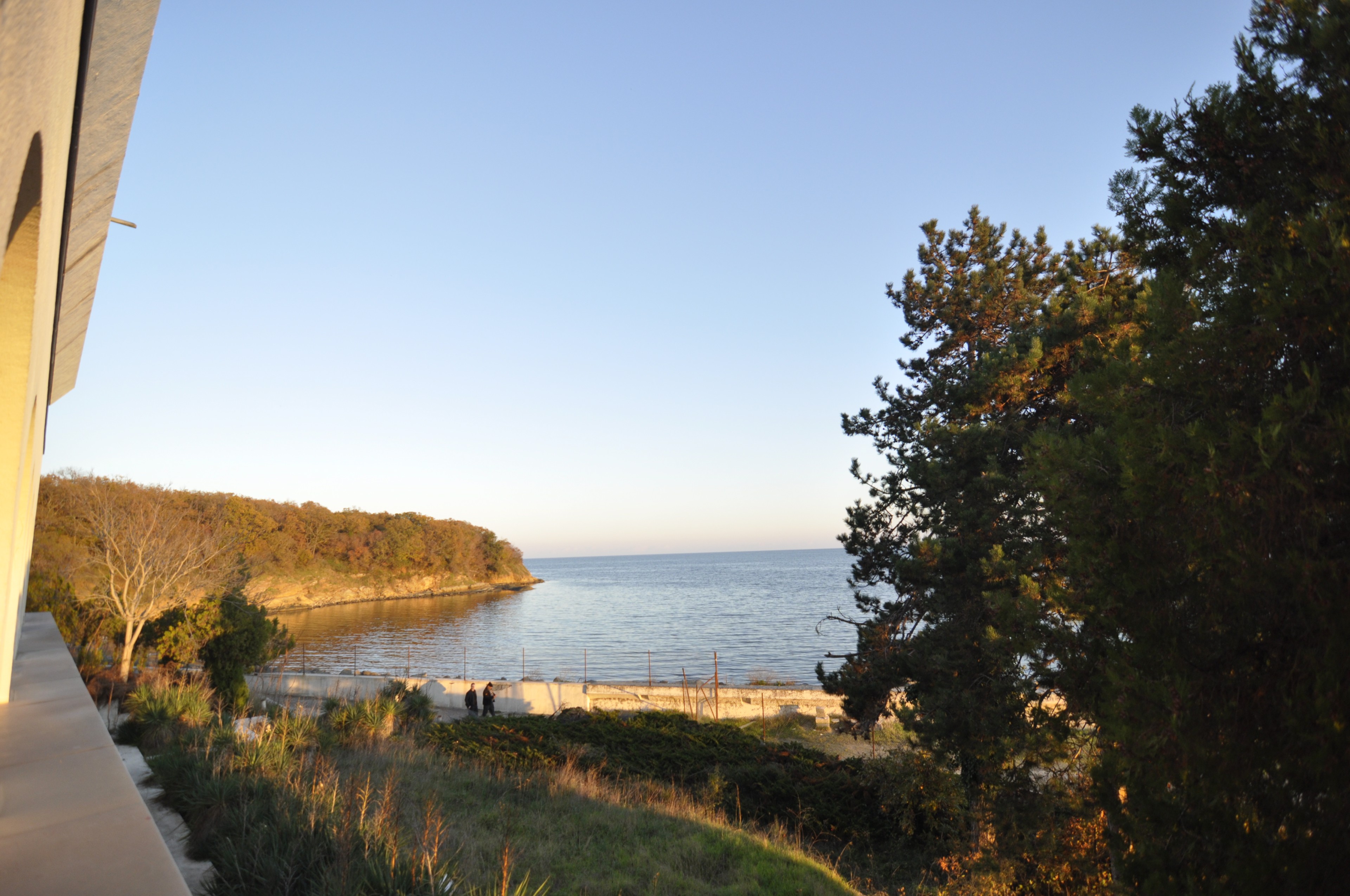 Scoutaround White Logo