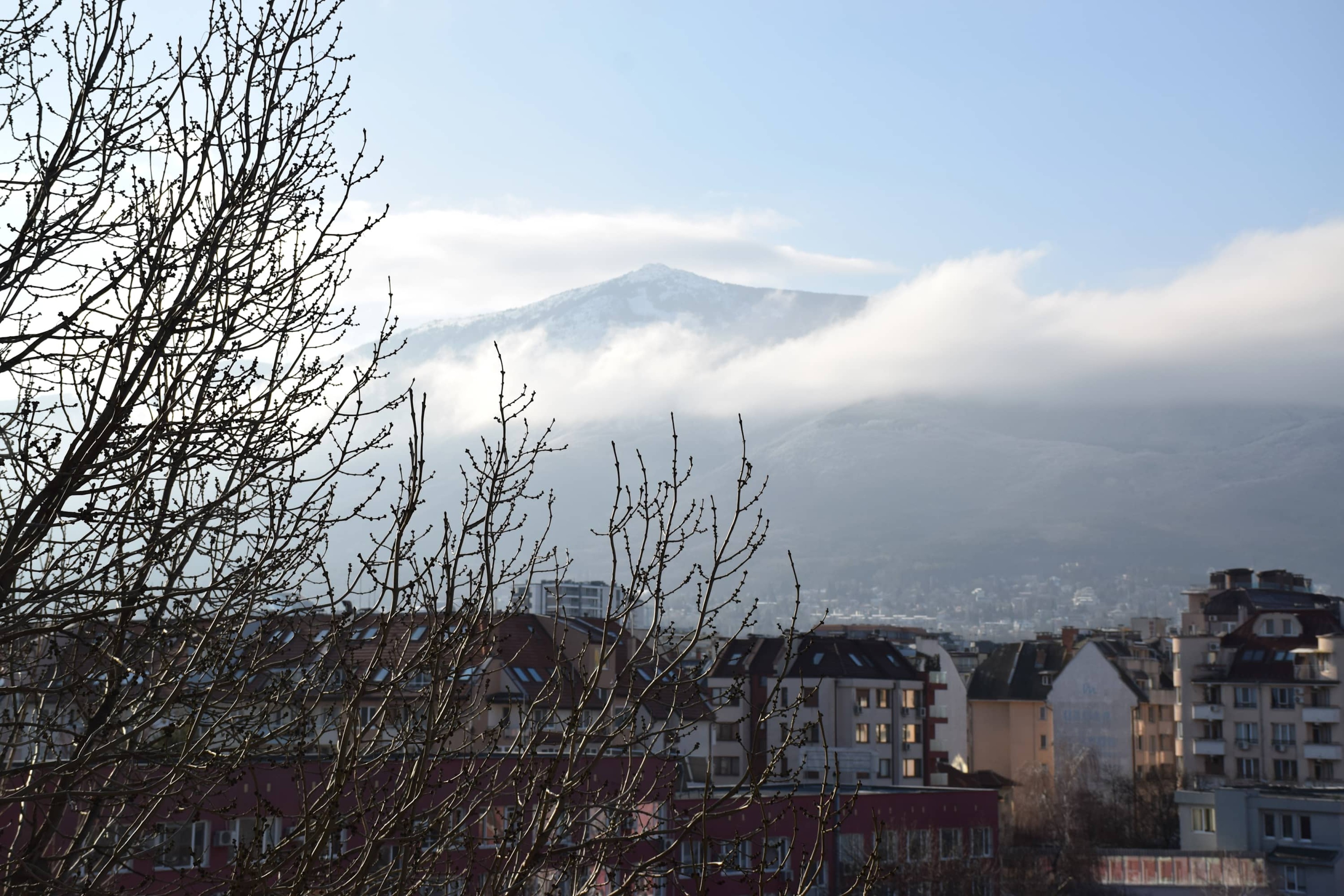 Bright &amp; Cozy 1-Bedroom with Stunning Vitosha View - Photo 22