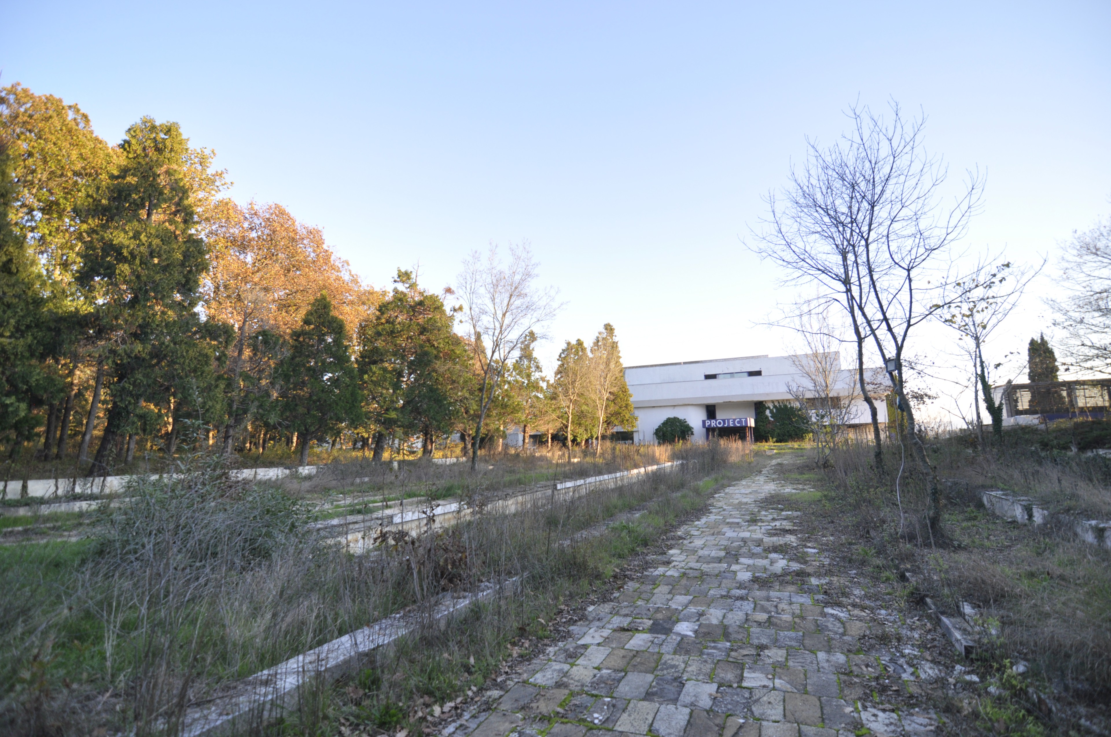 Scoutaround White Logo