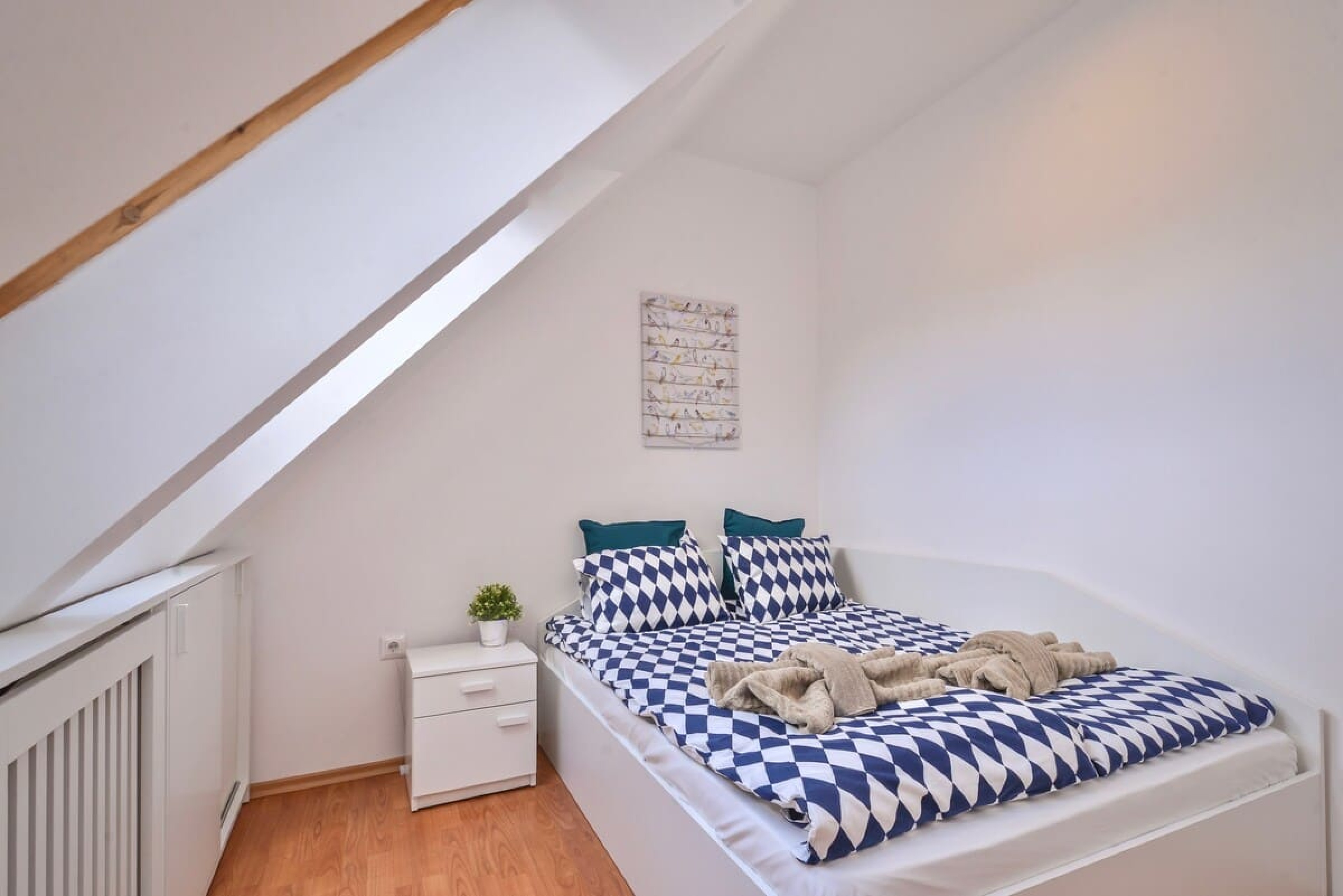 Scoutaround White Logo