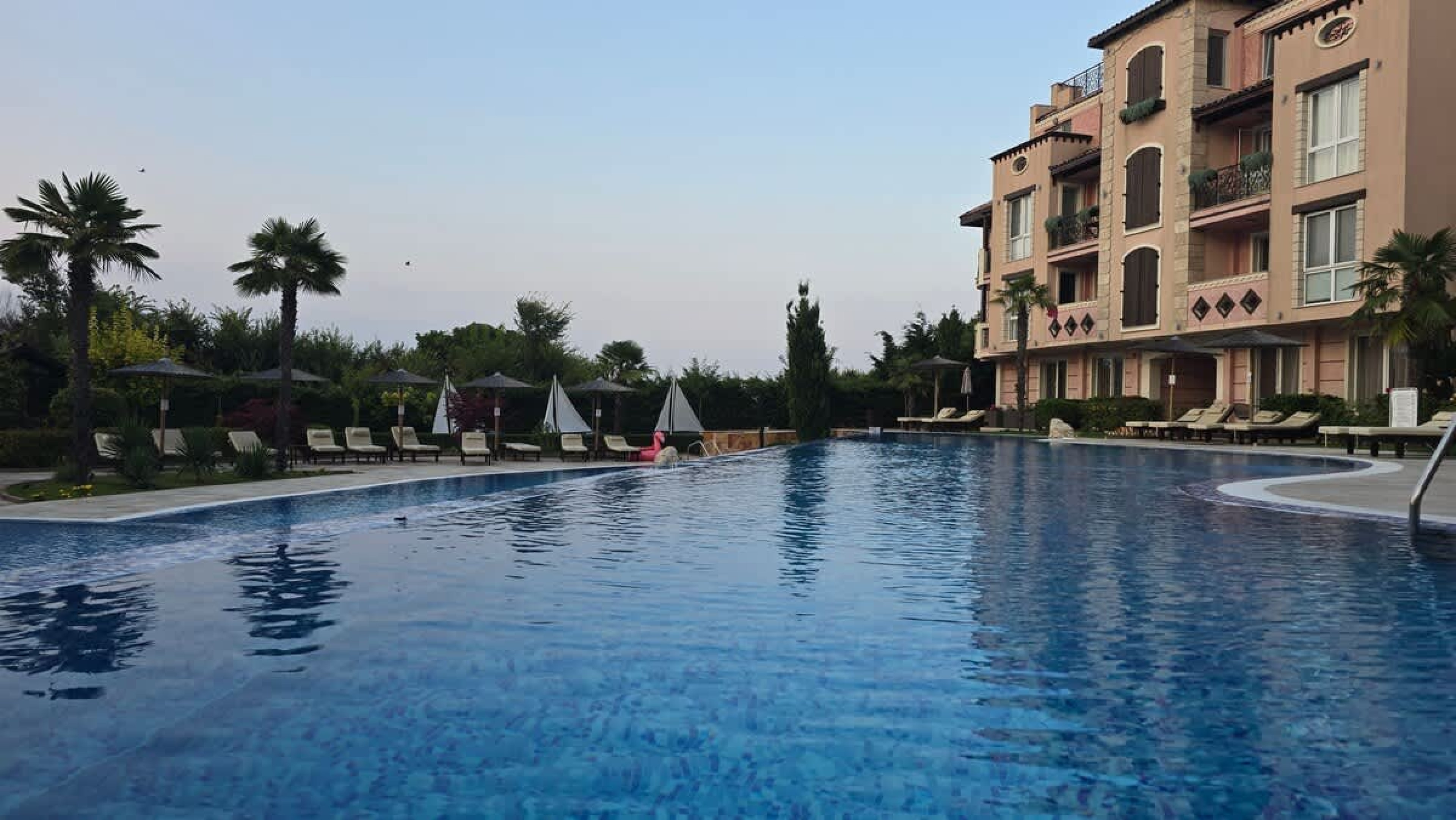 Scoutaround White Logo