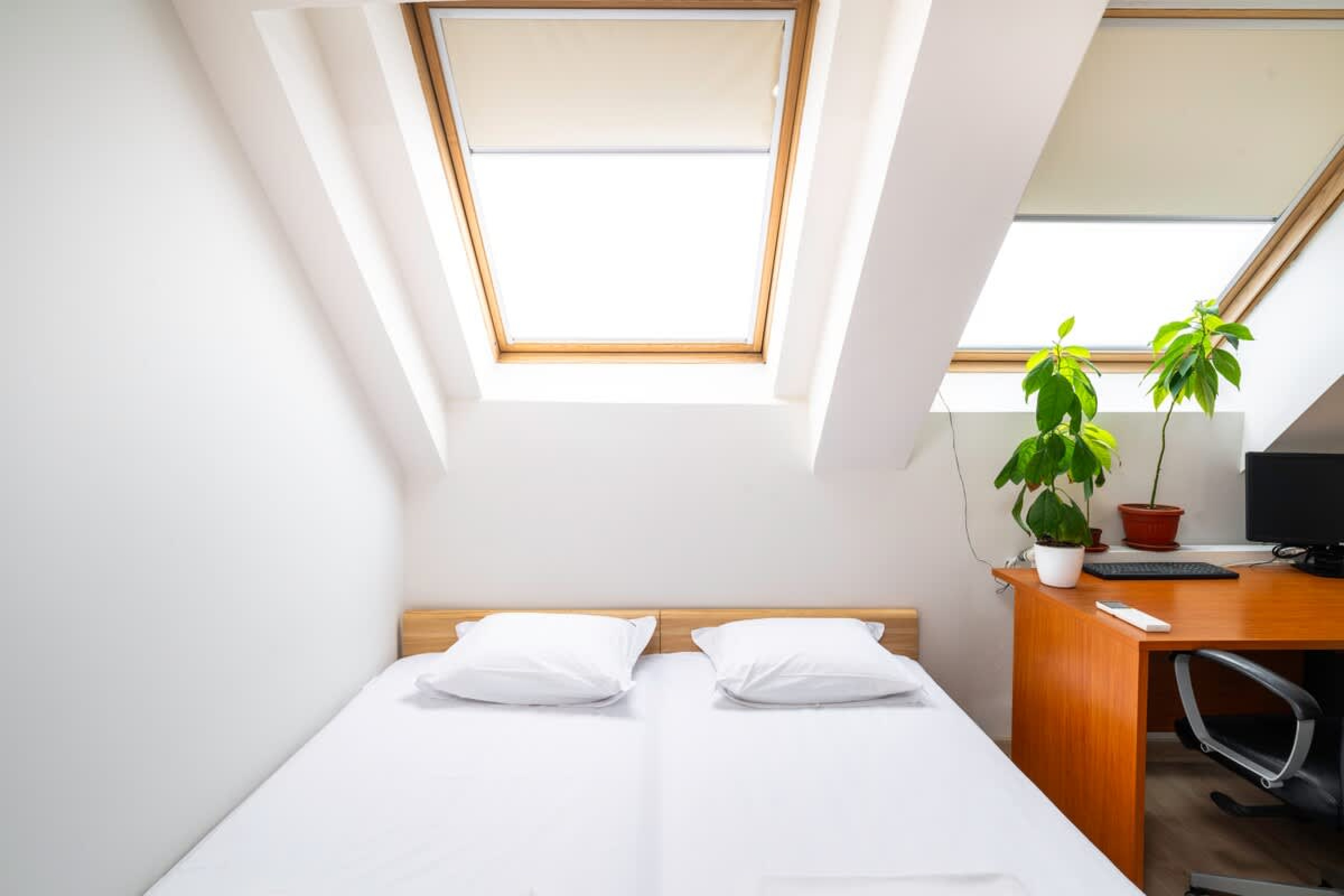 Scoutaround White Logo