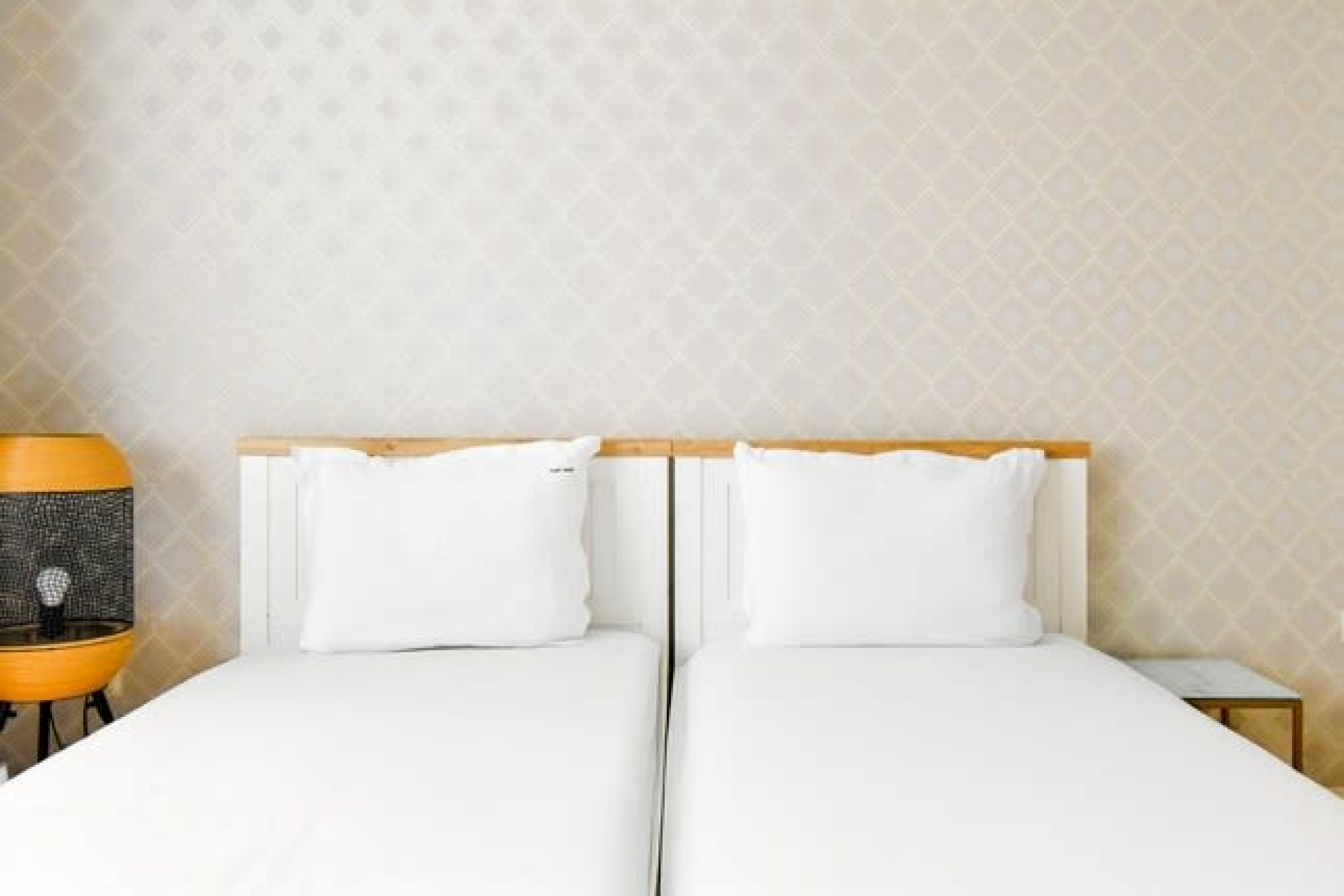 Scoutaround White Logo