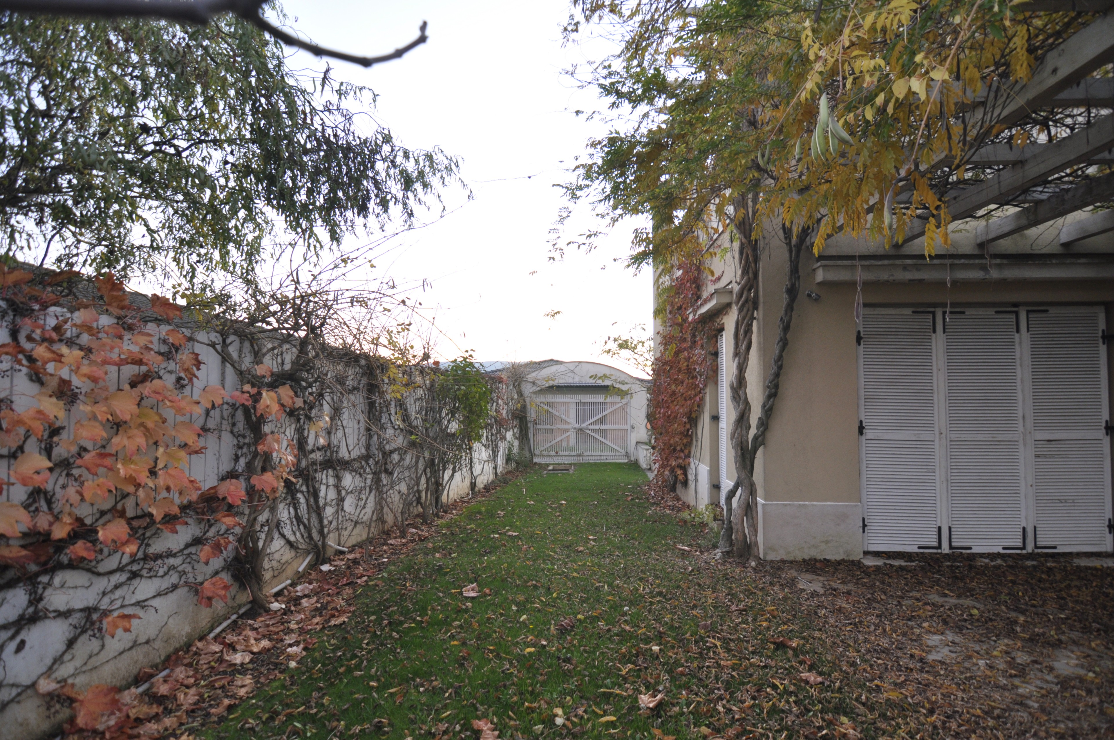 Scoutaround White Logo