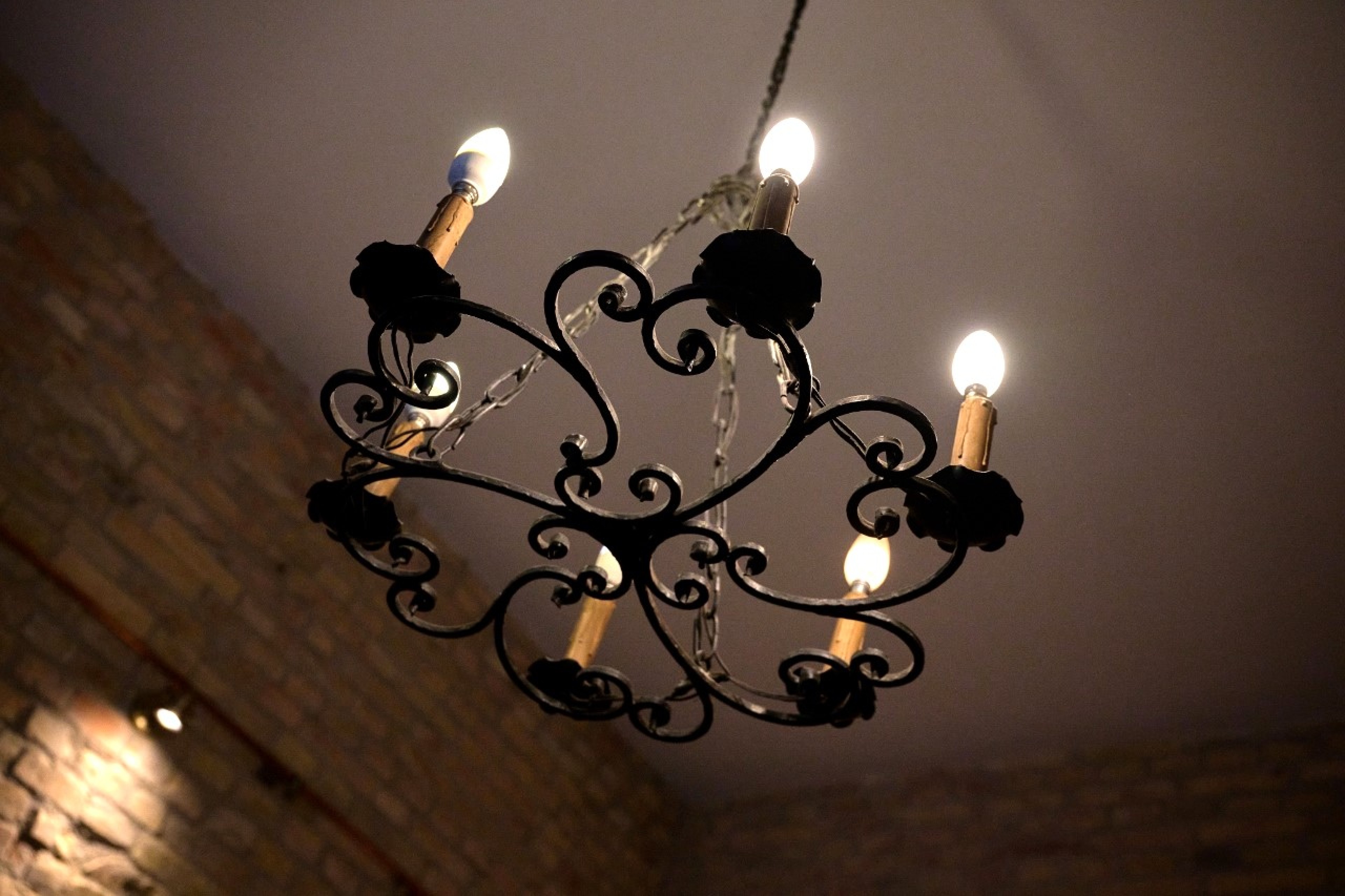 Scoutaround White Logo