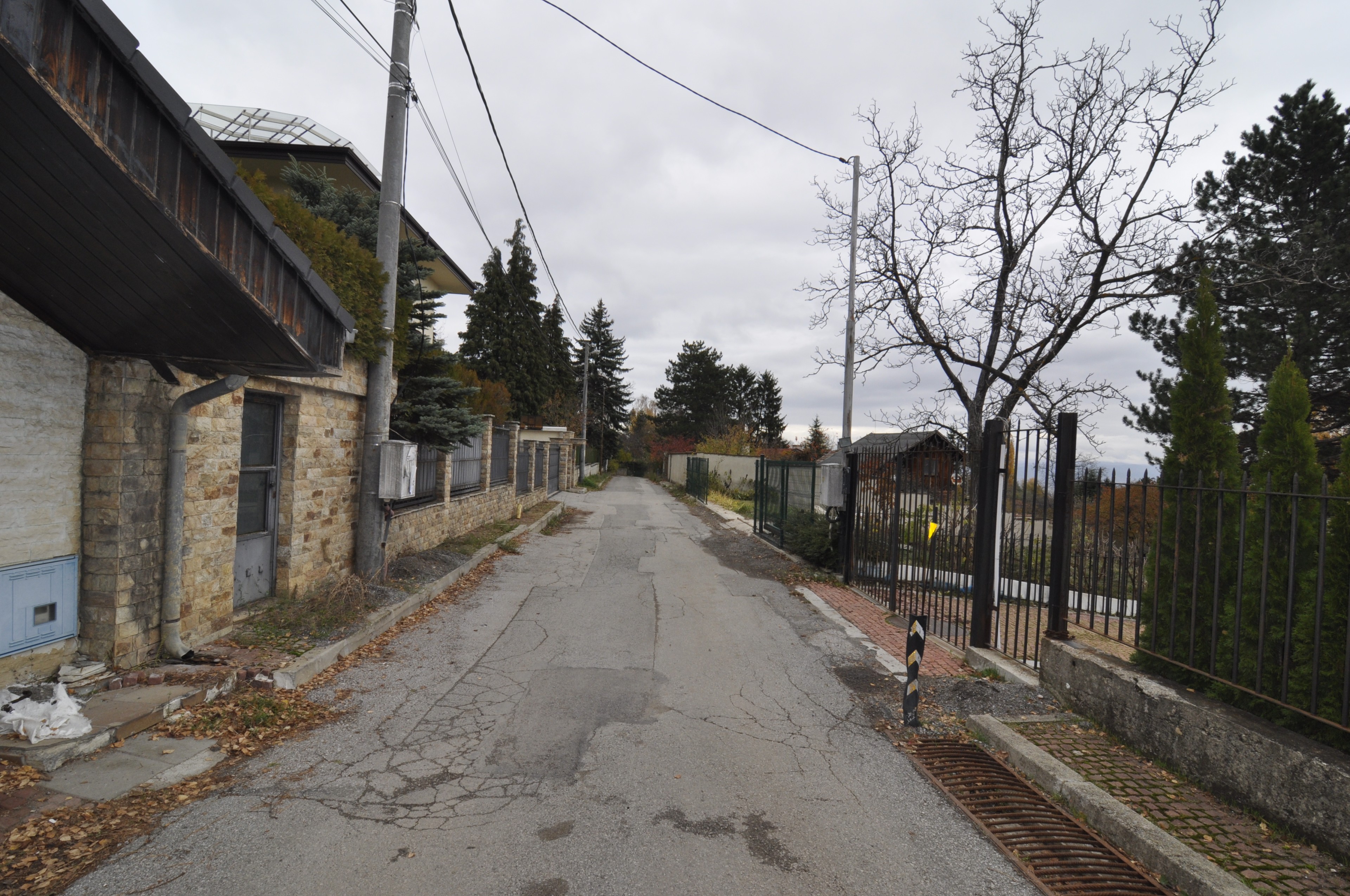 Scoutaround White Logo