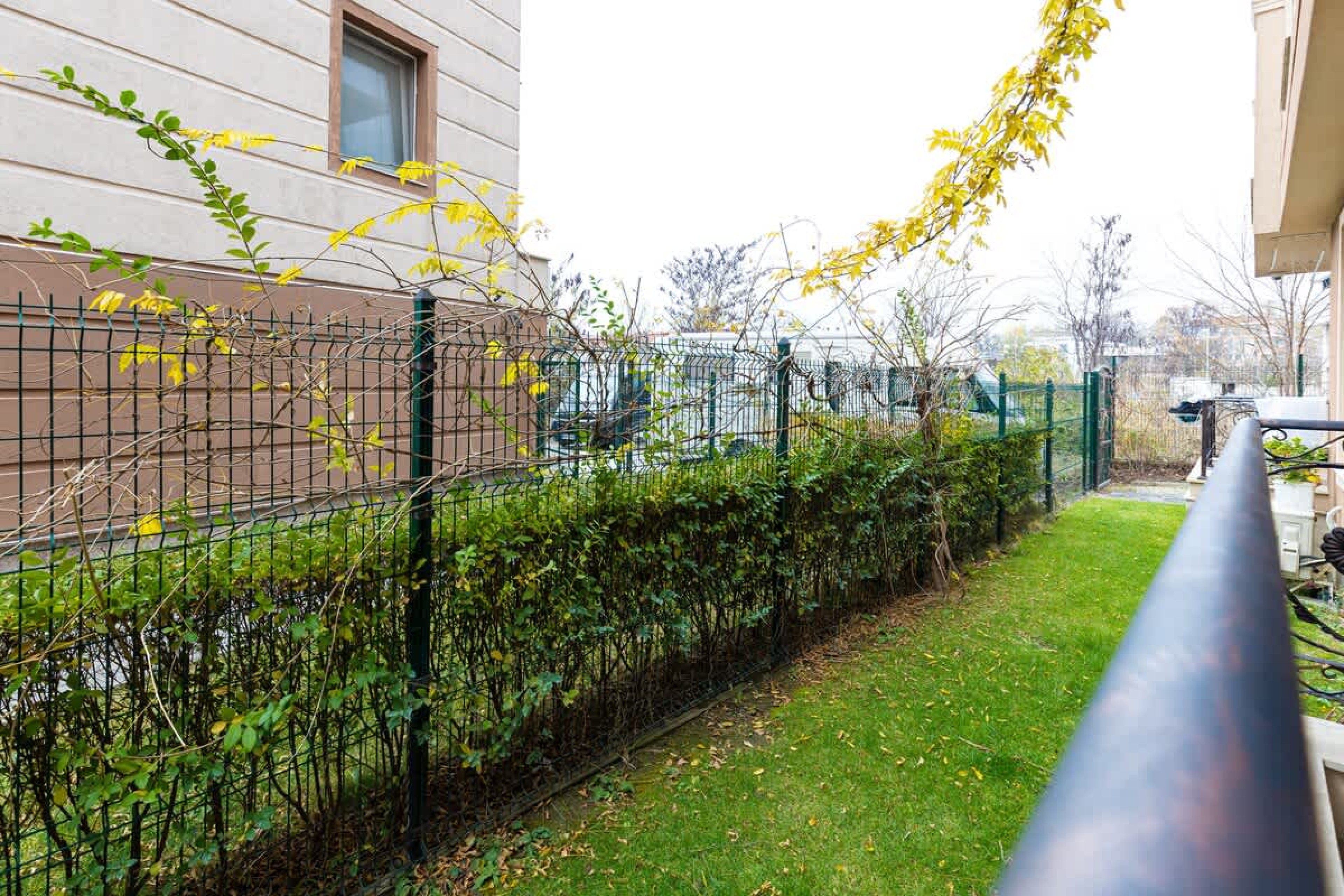 Scoutaround White Logo