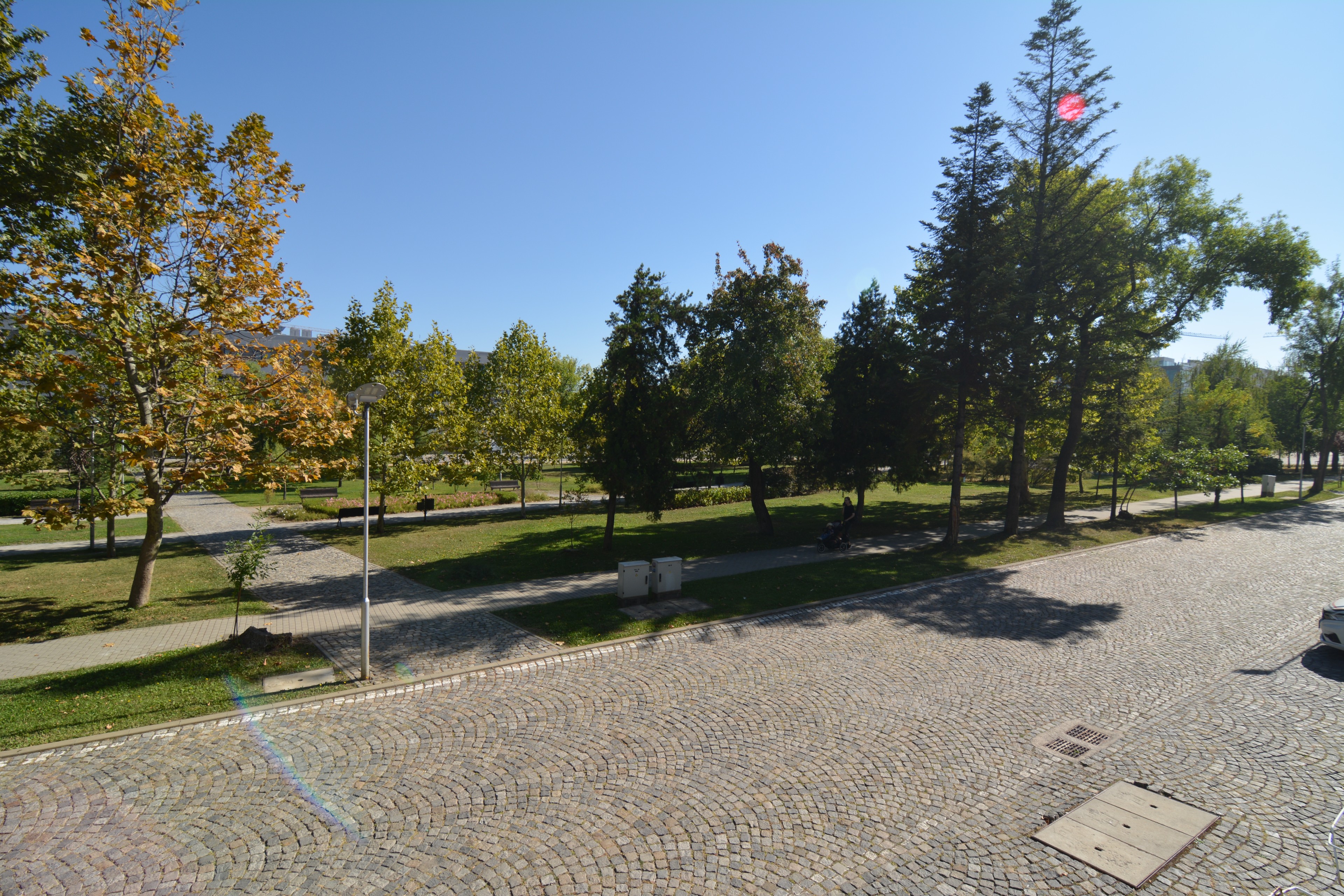 Scoutaround White Logo