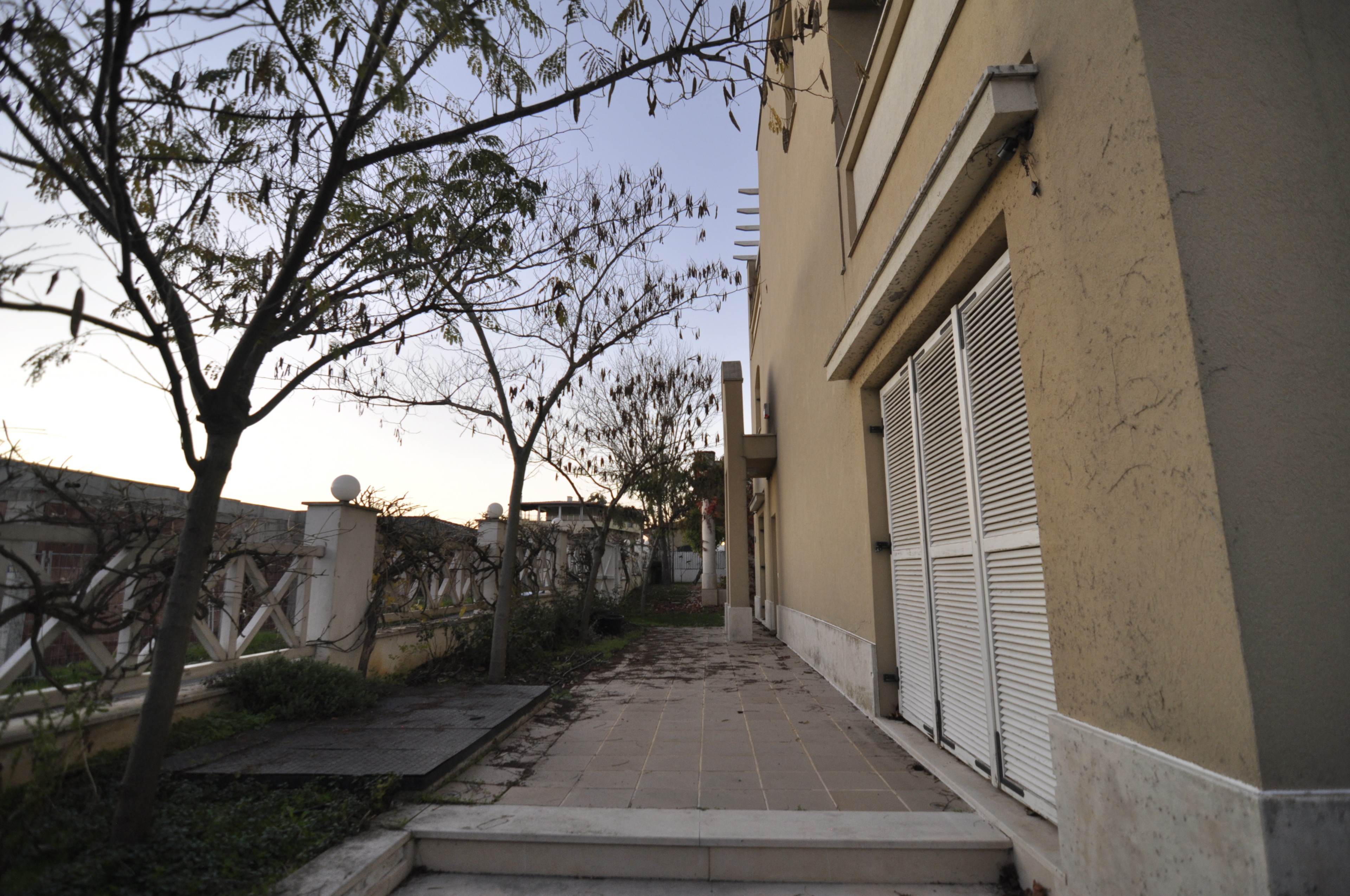 Scoutaround White Logo