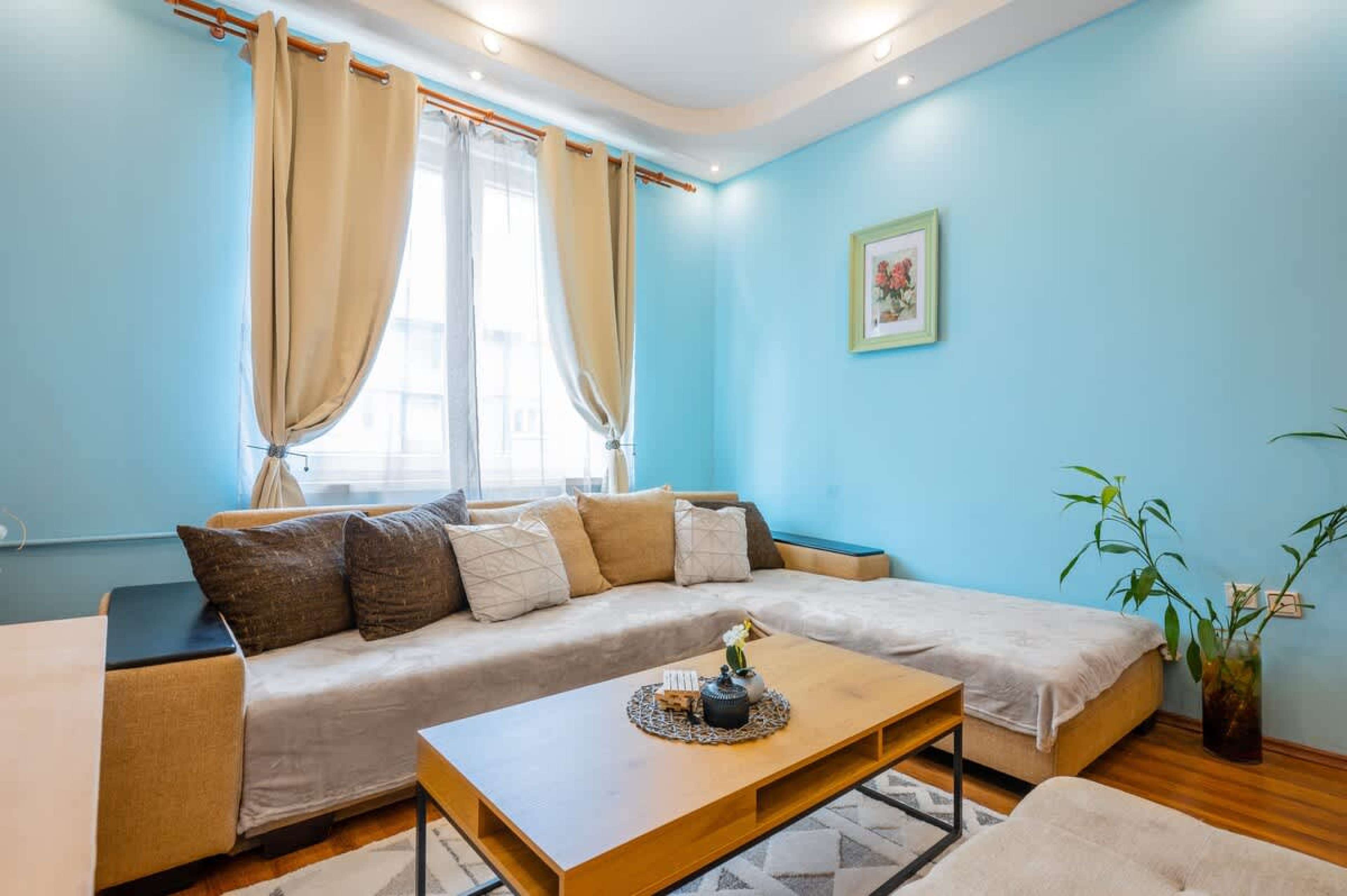 Scoutaround White Logo