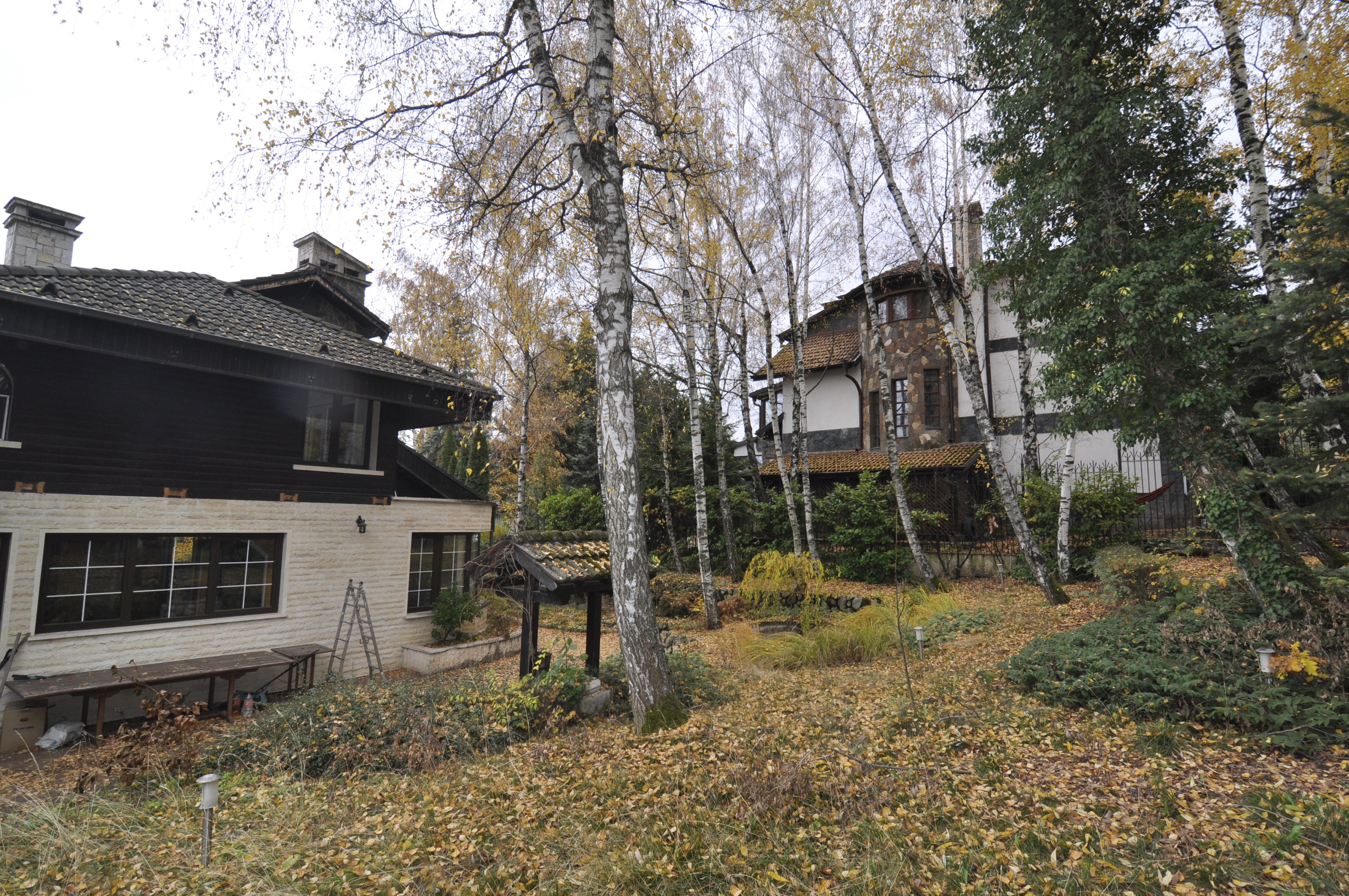 Scoutaround White Logo