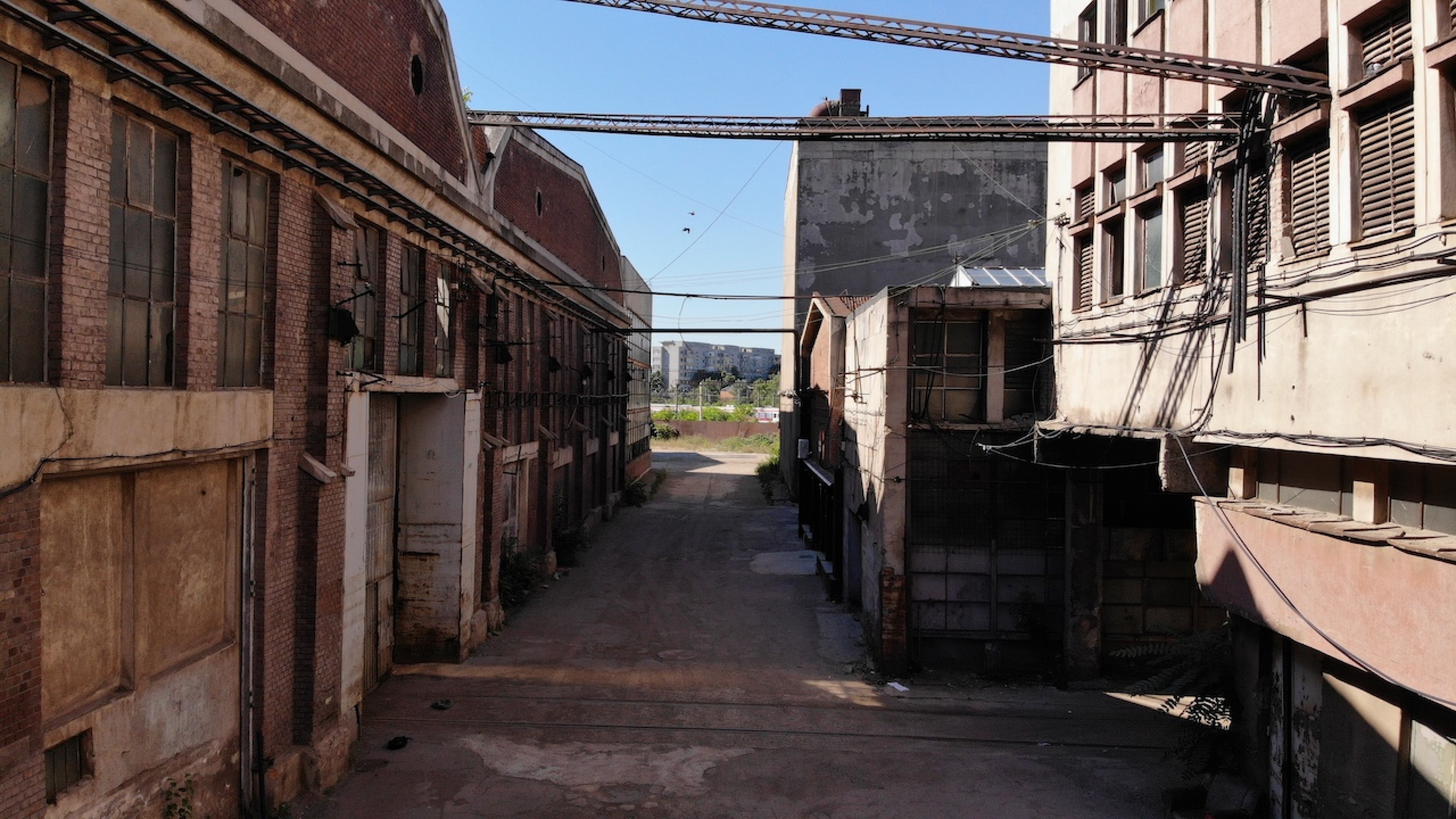 Scoutaround White Logo