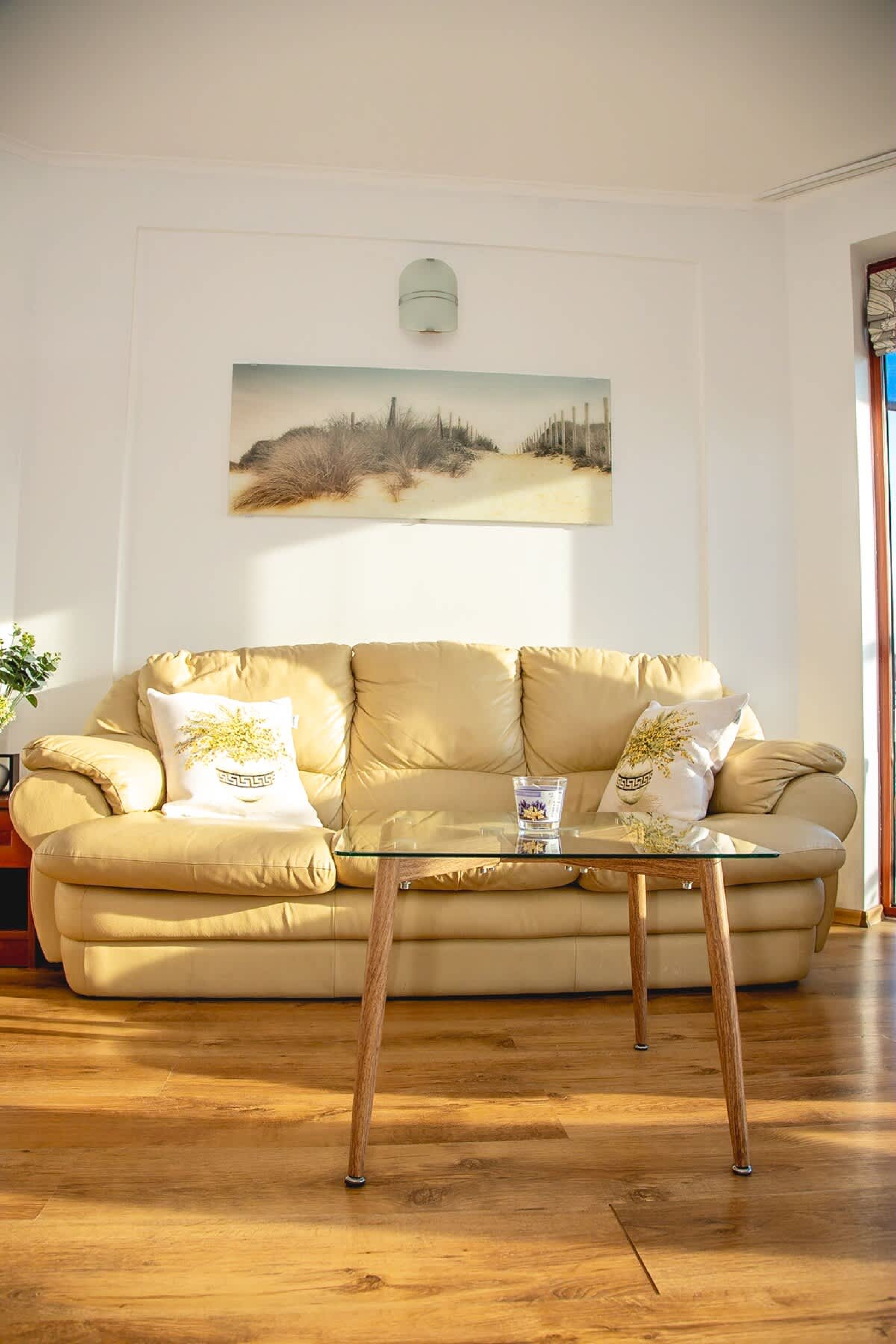 Scoutaround White Logo