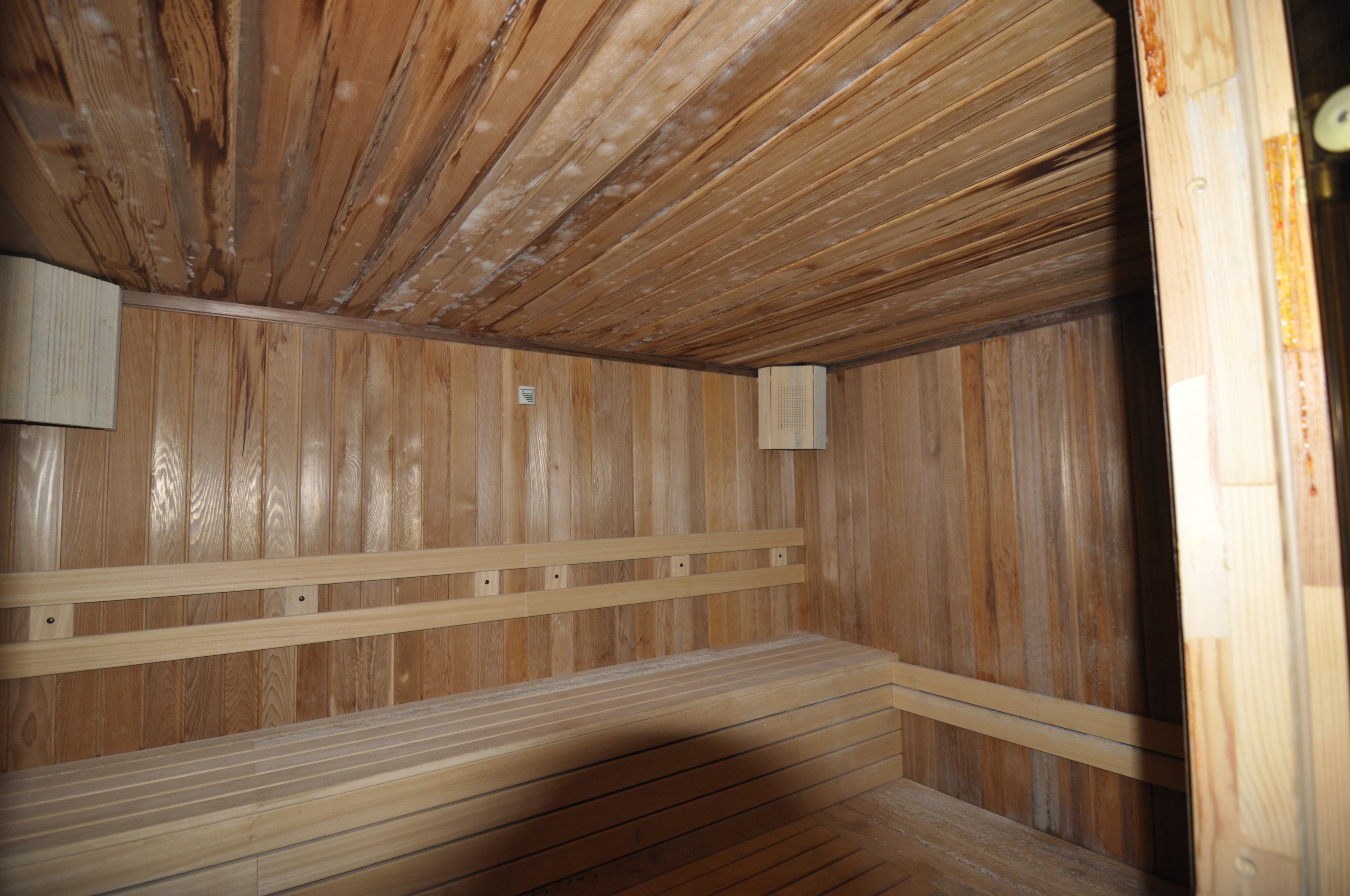 Scoutaround White Logo