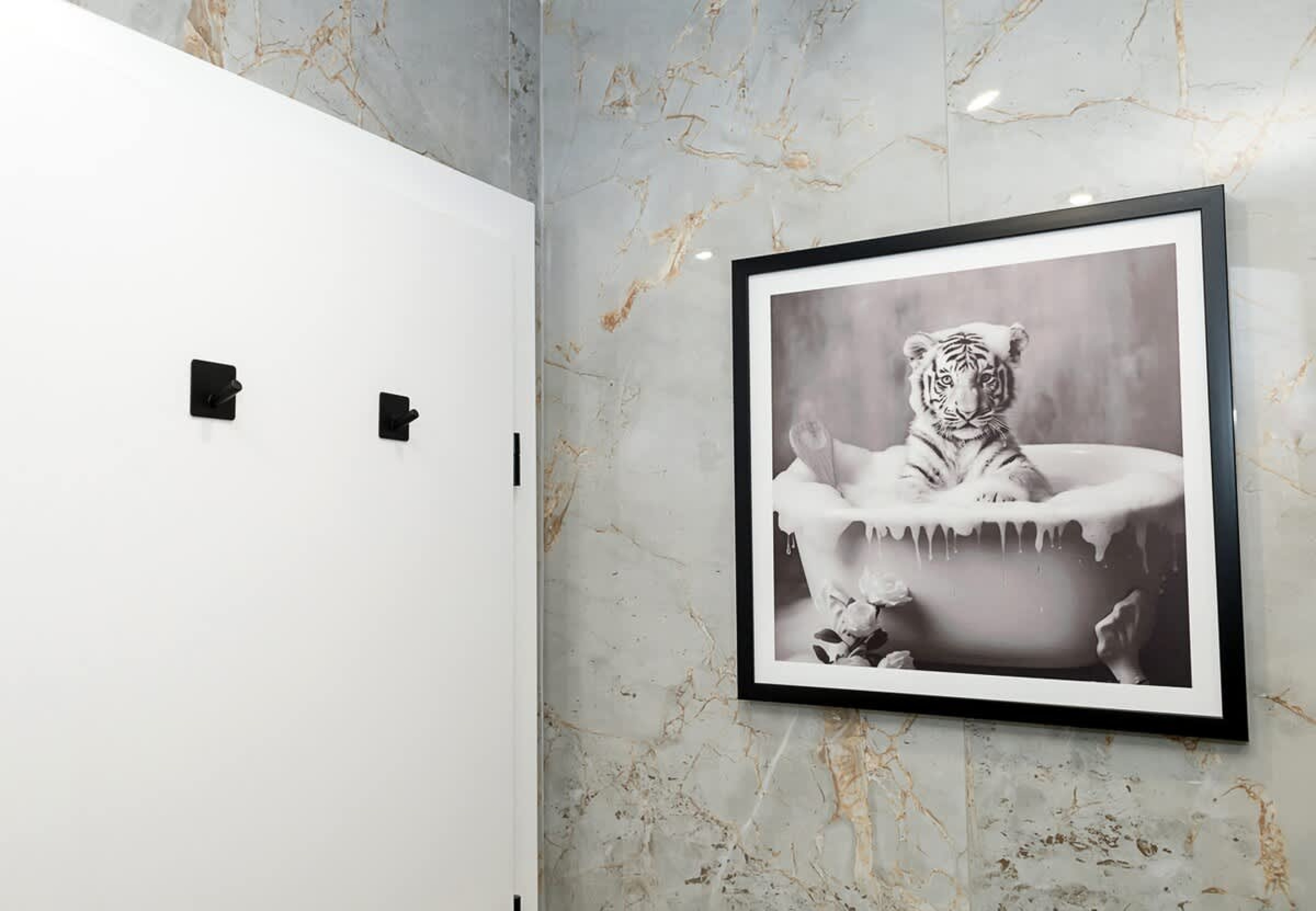 Scoutaround White Logo