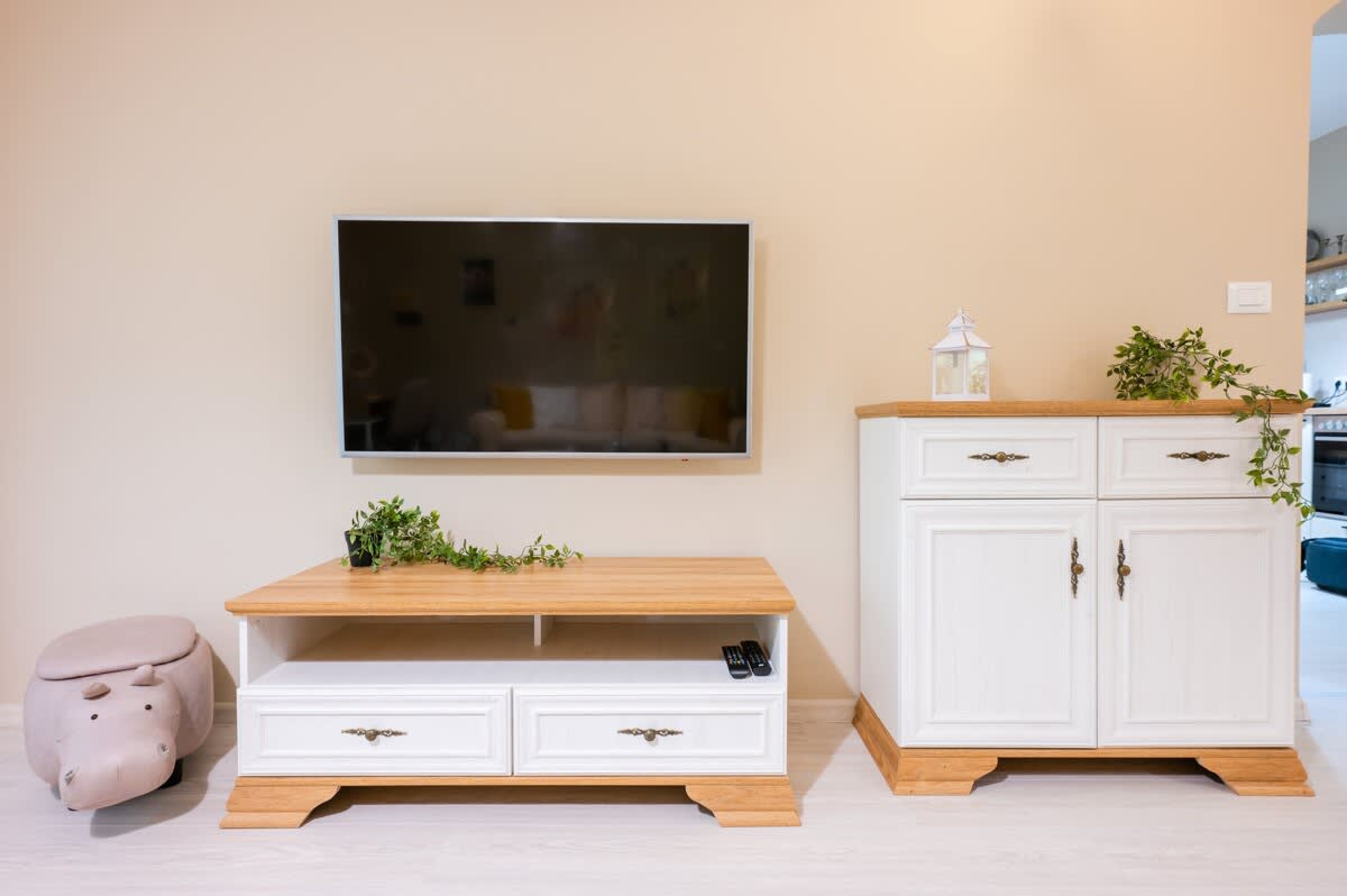 Scoutaround White Logo