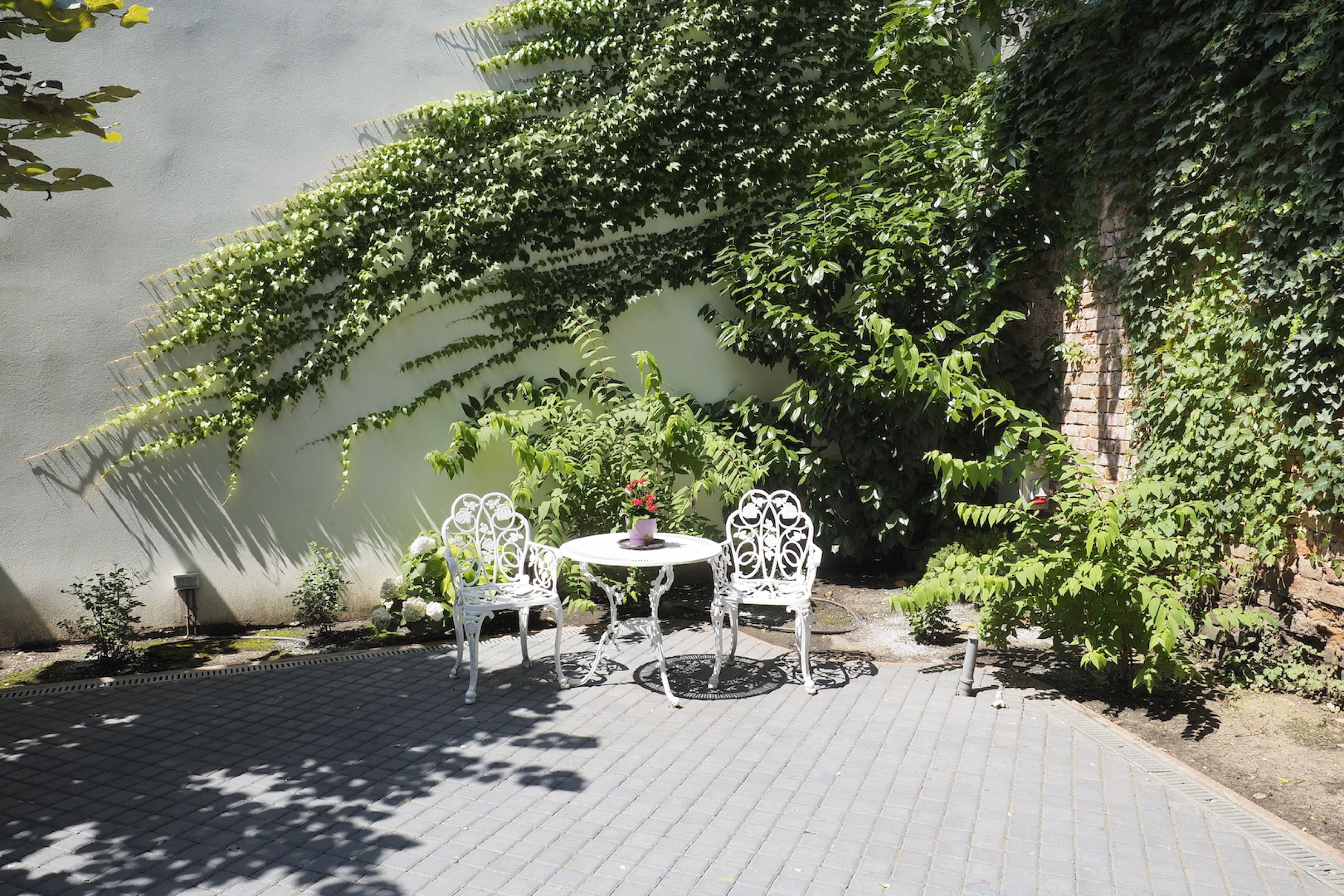 Scoutaround White Logo