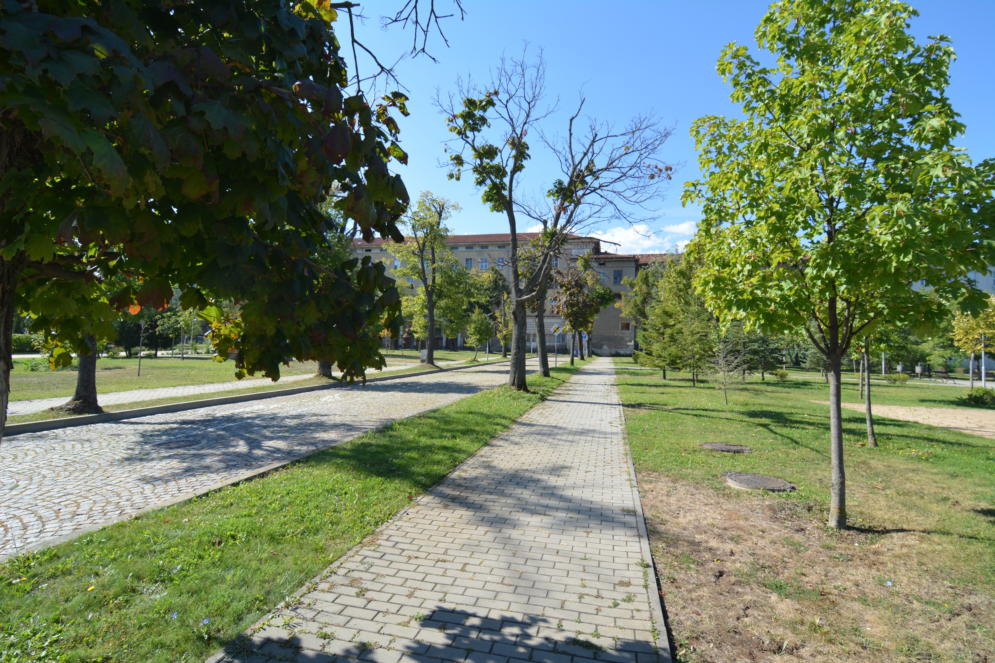 Scoutaround White Logo