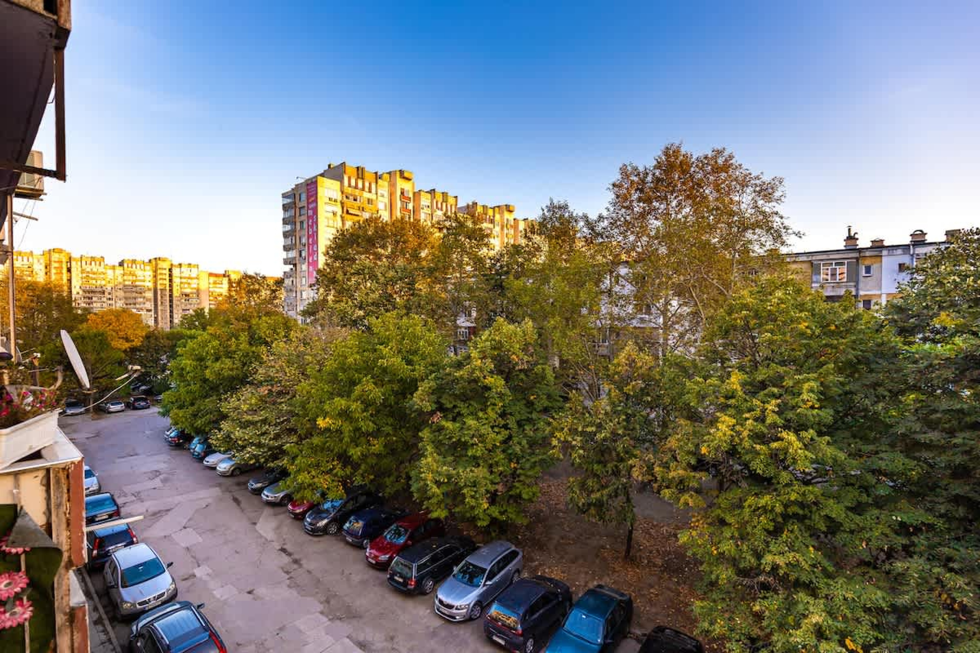 Scoutaround White Logo