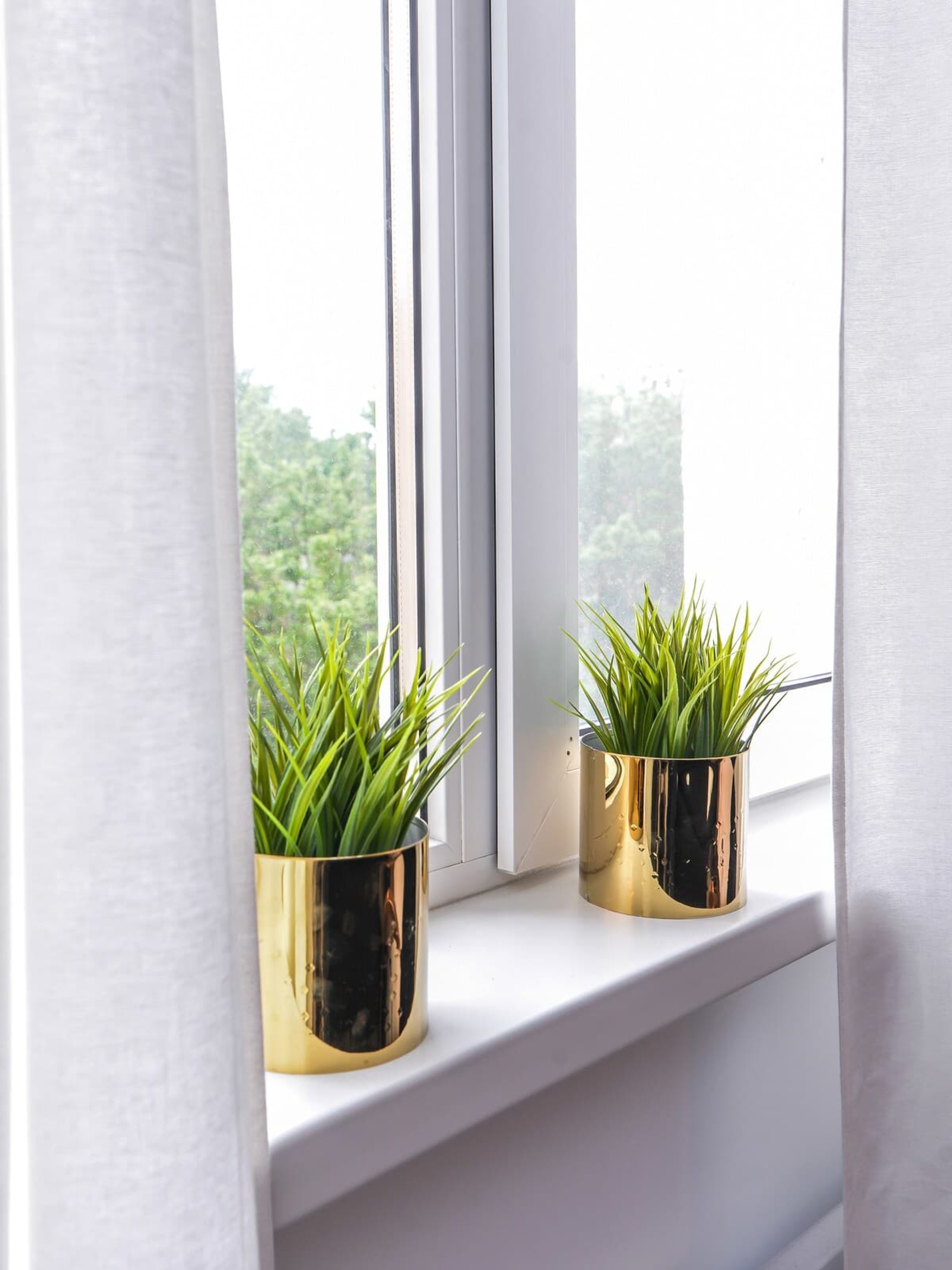 Scoutaround White Logo