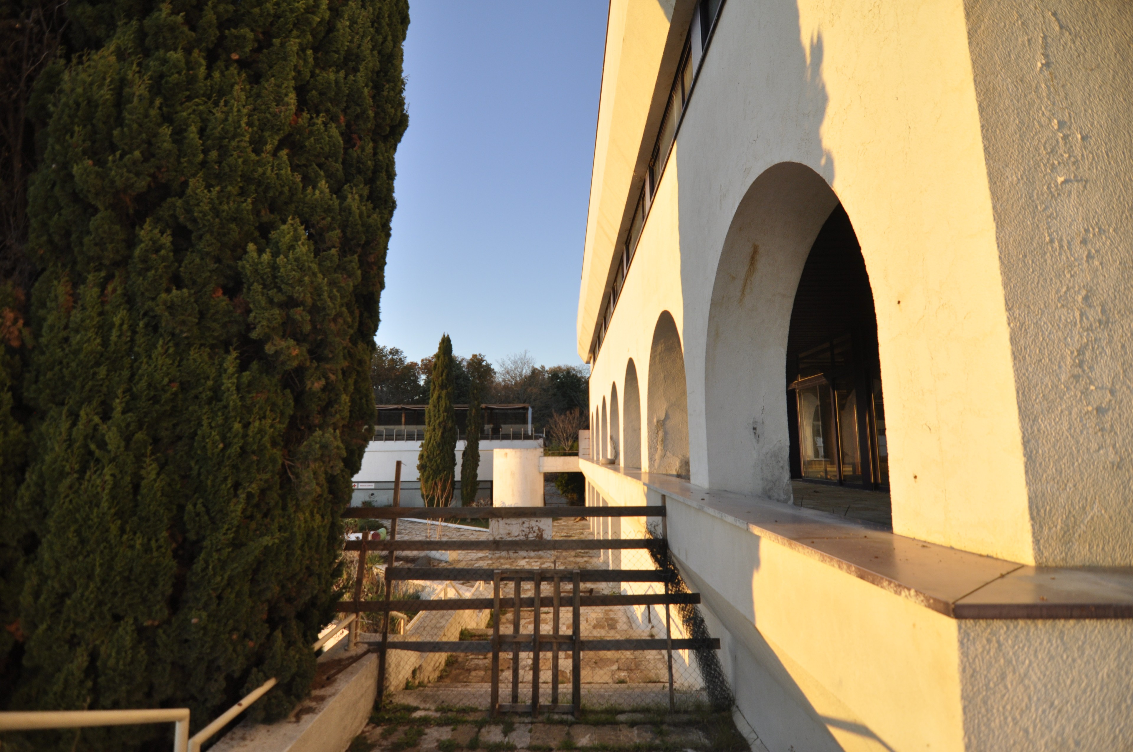 Scoutaround White Logo