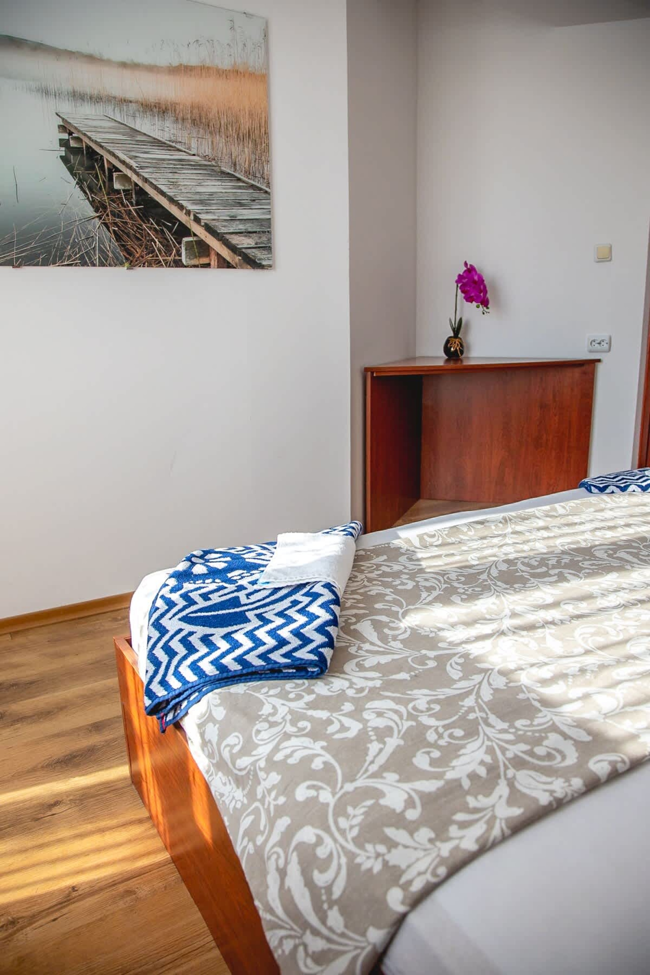 Scoutaround White Logo