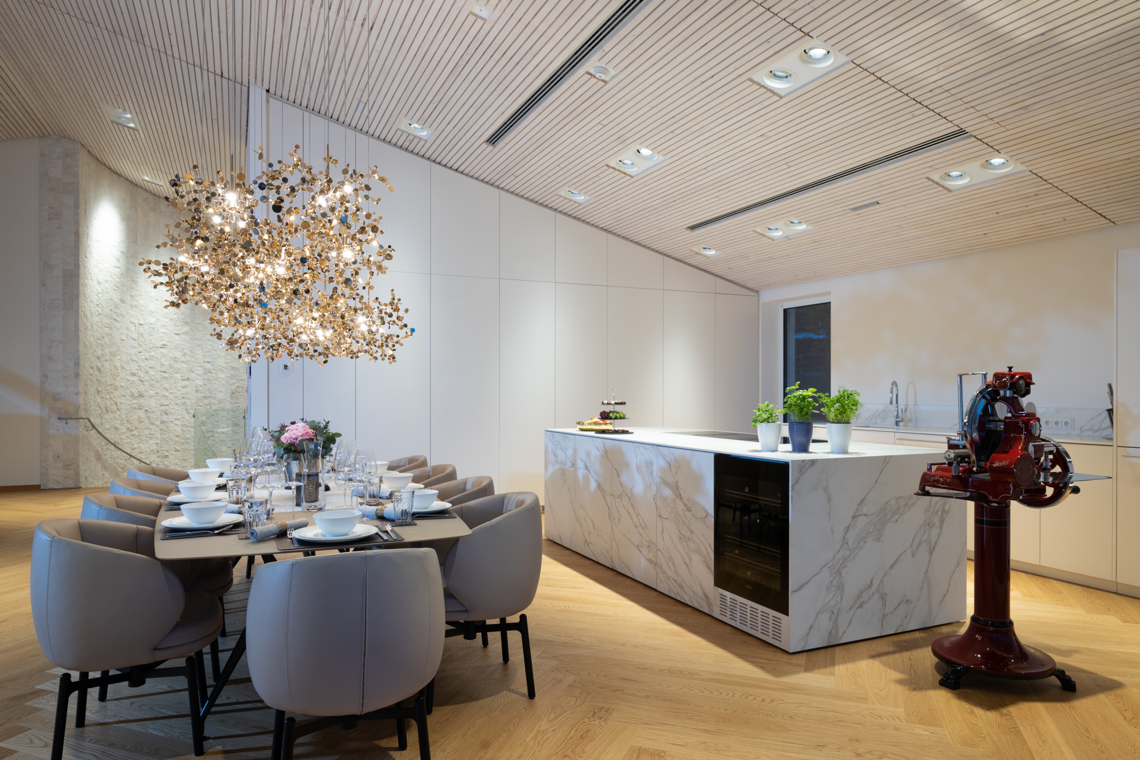 Scoutaround White Logo