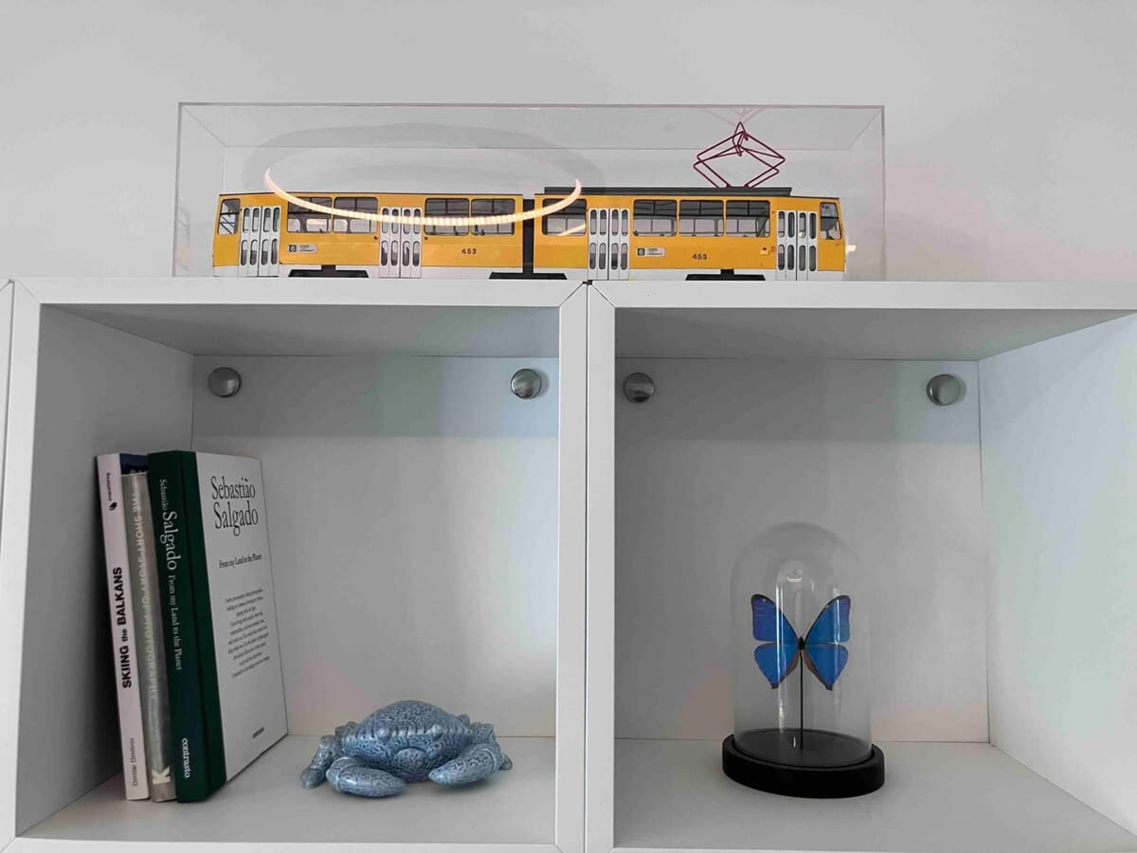 Scoutaround White Logo