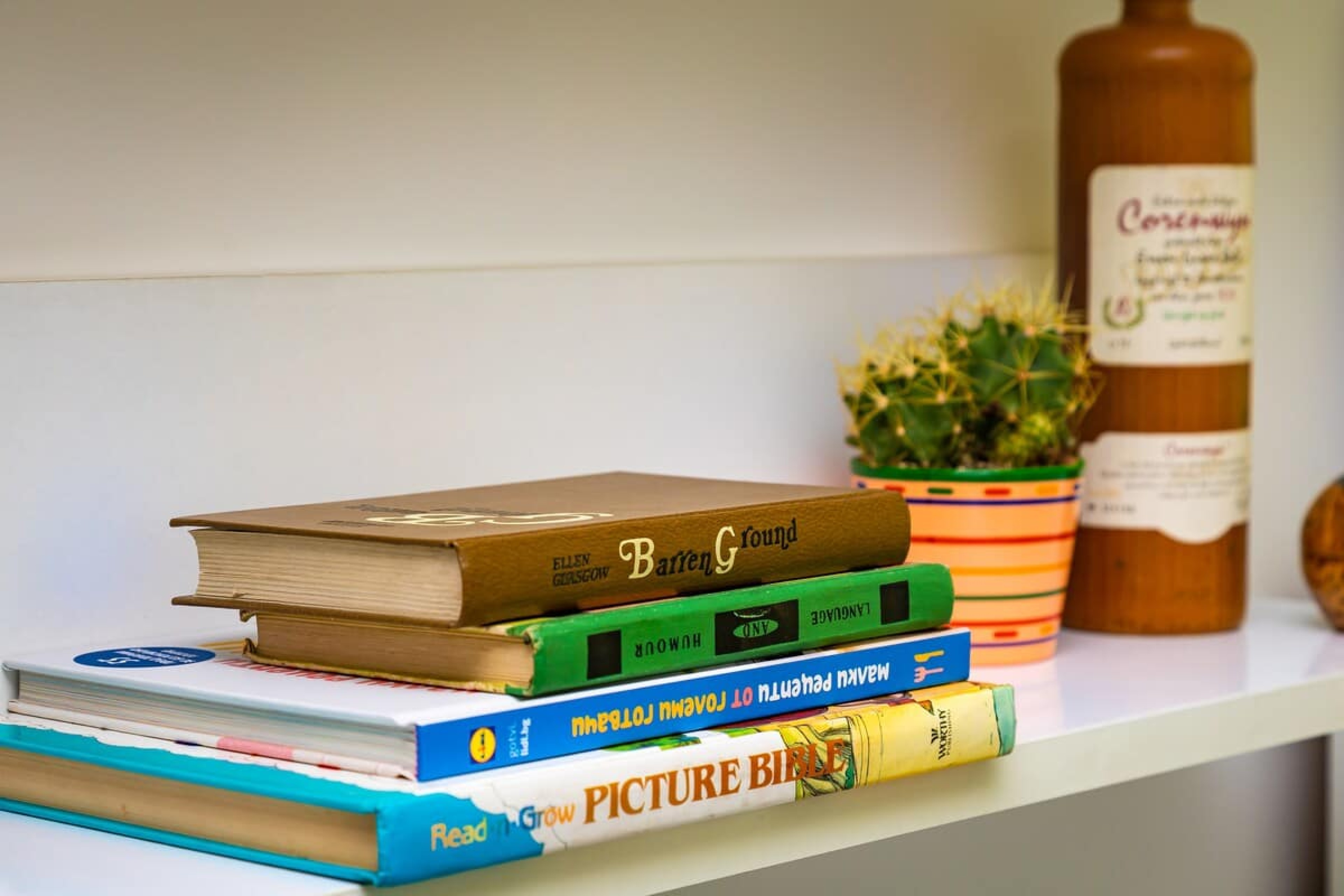 Scoutaround White Logo