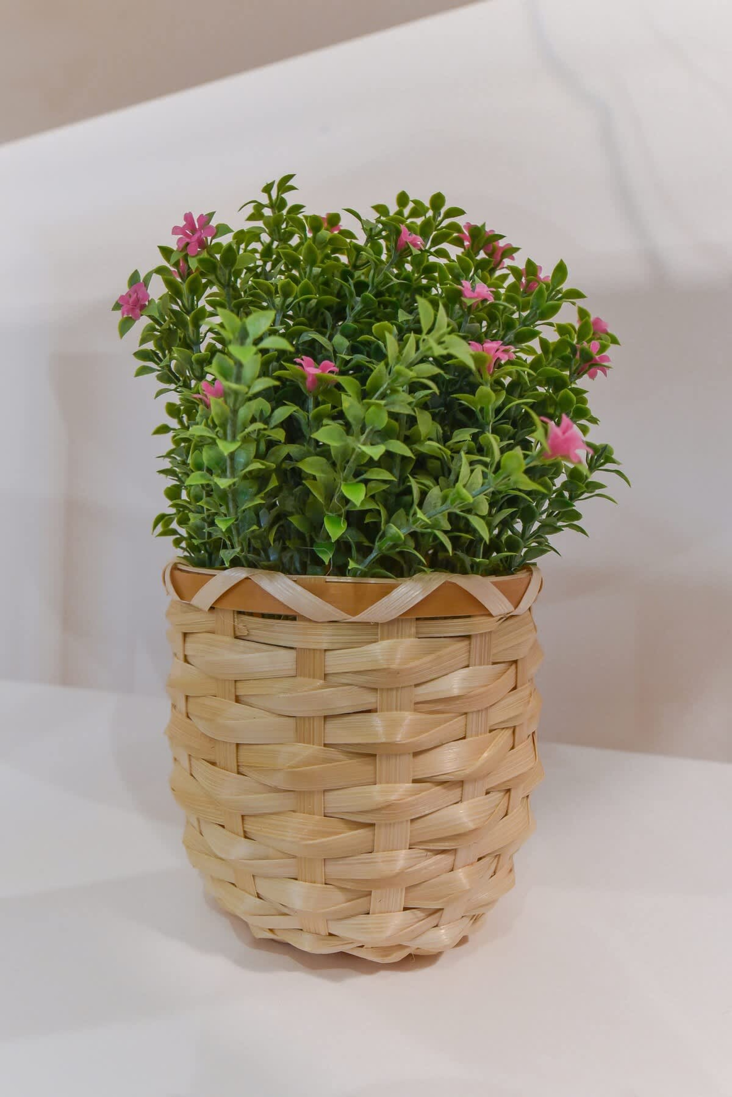 Bright, cosy &amp; modern flat in the TOP centre - Photo 9