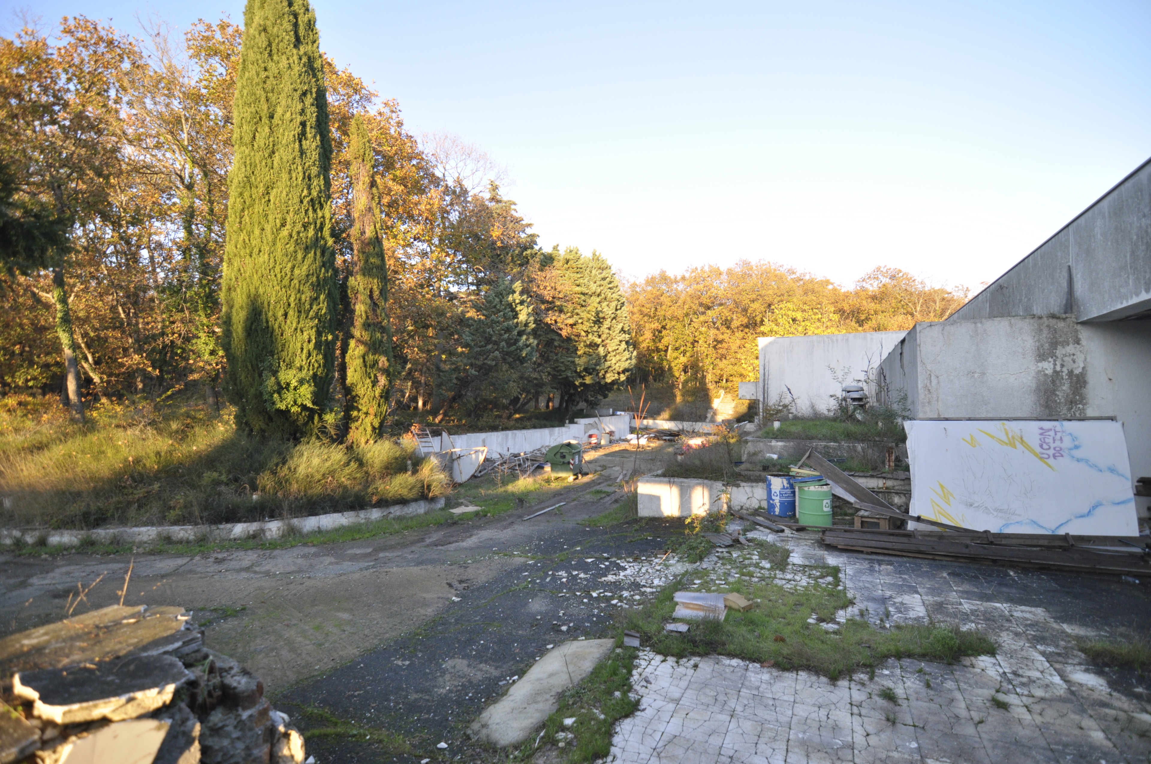 Scoutaround White Logo