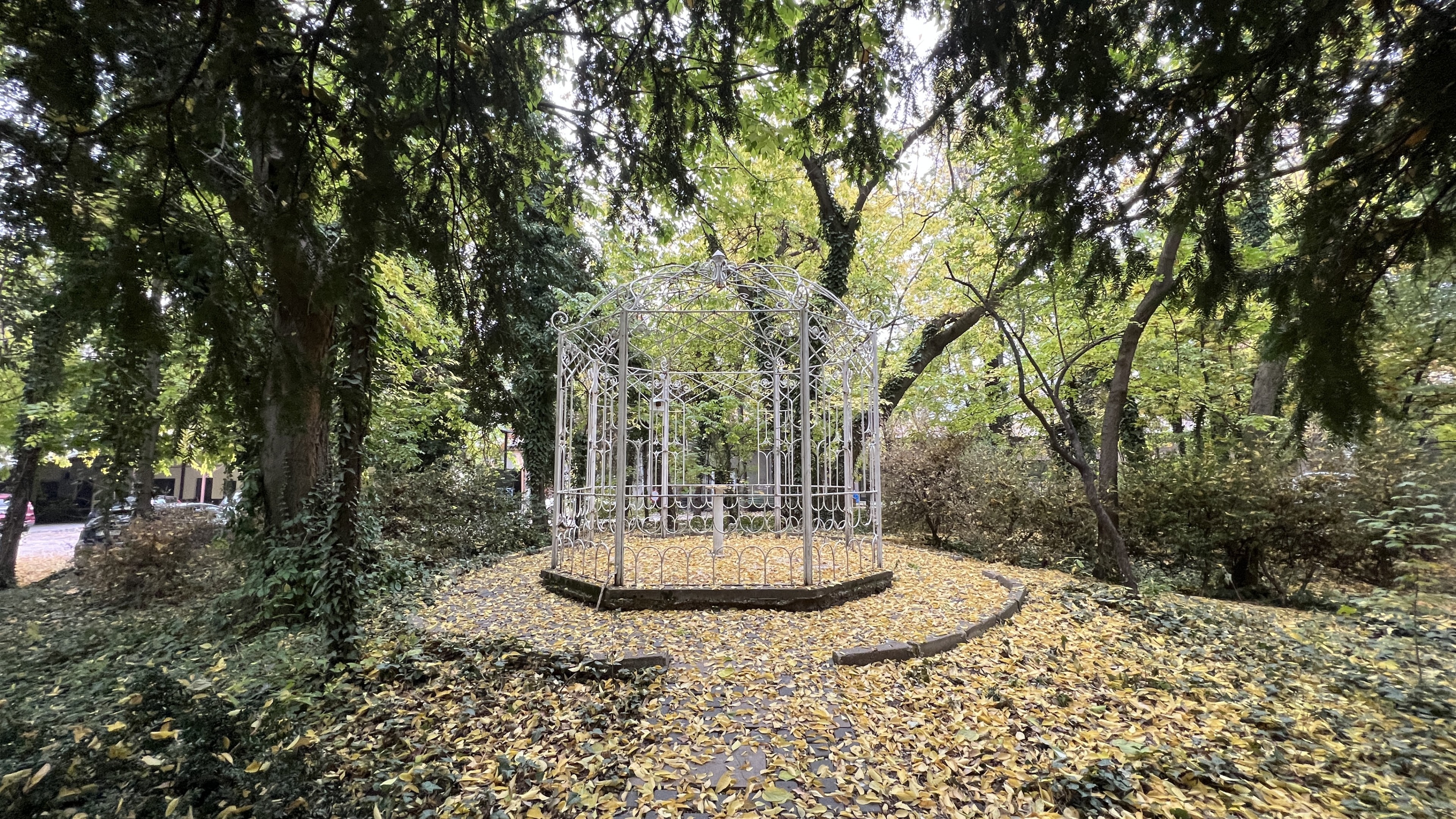 Scoutaround White Logo