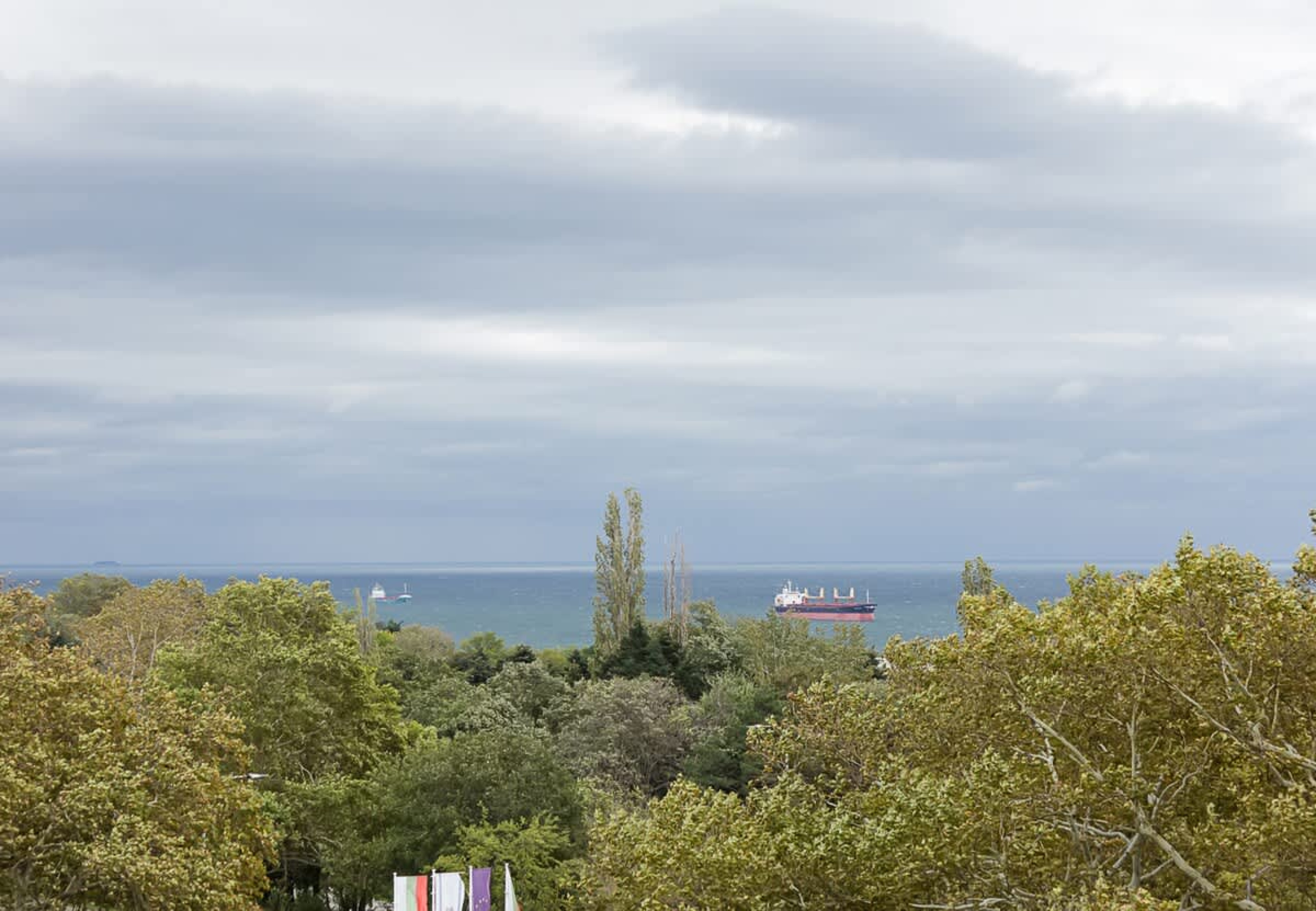 Scoutaround White Logo