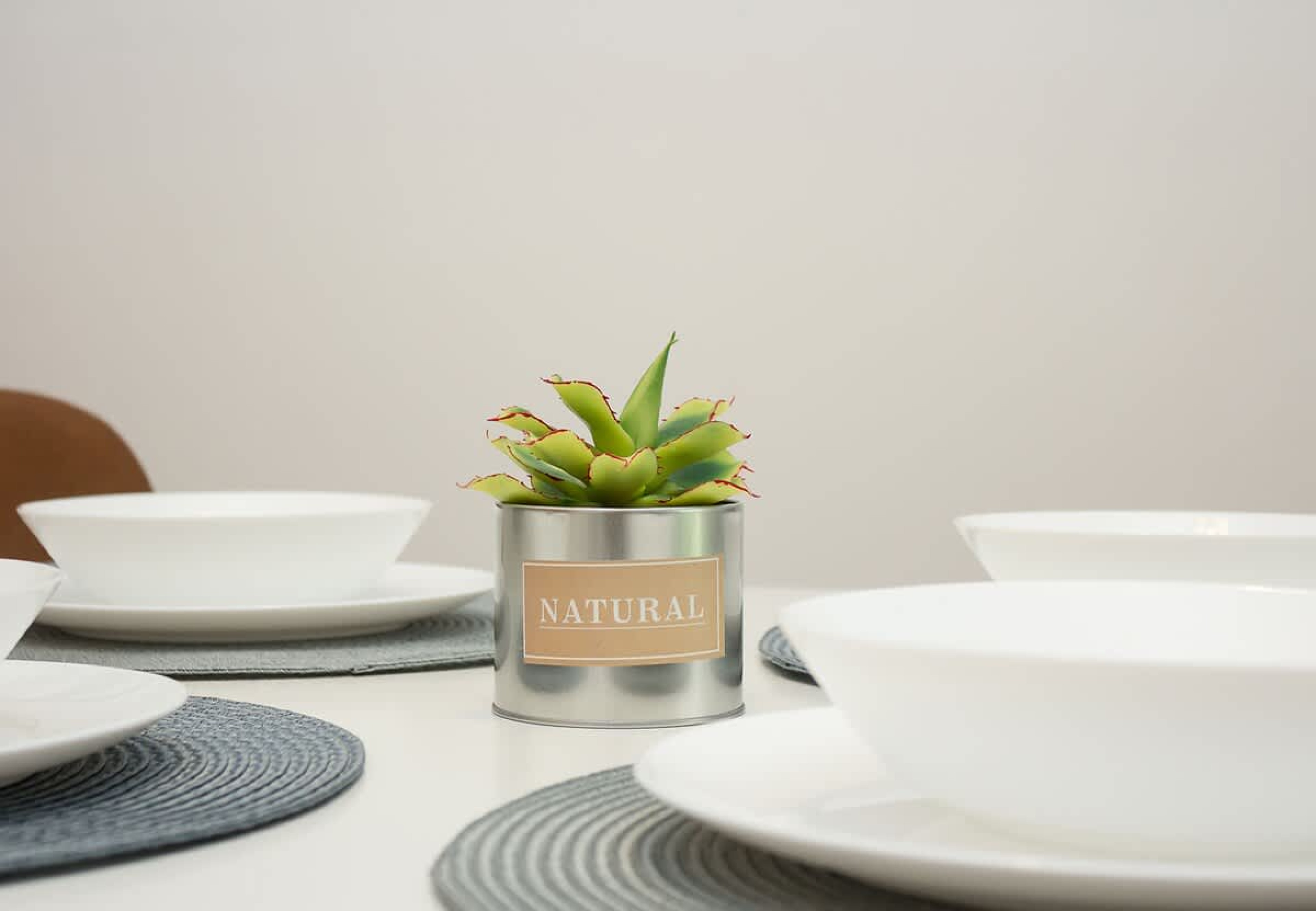 Scoutaround White Logo