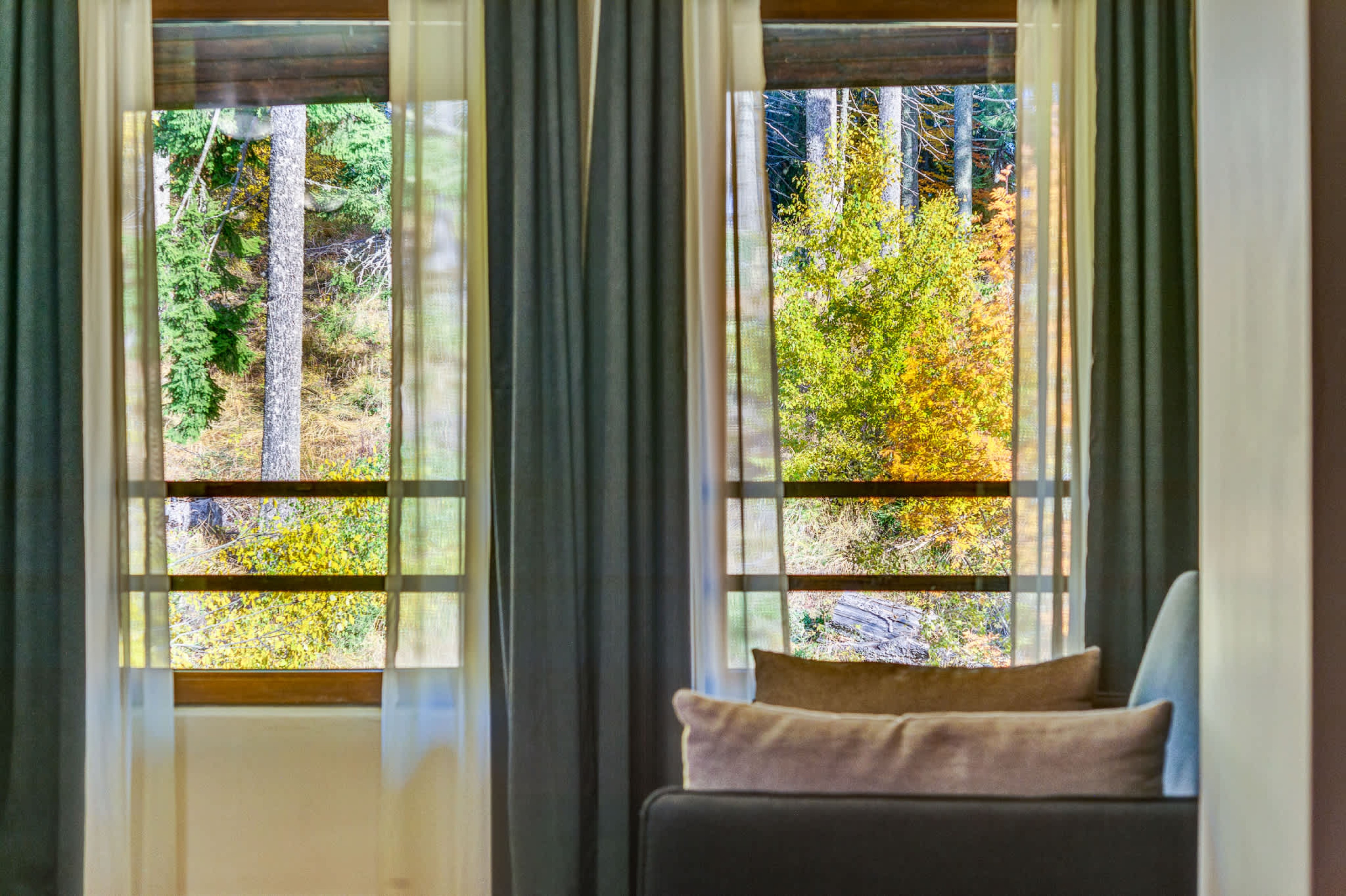 Scoutaround White Logo