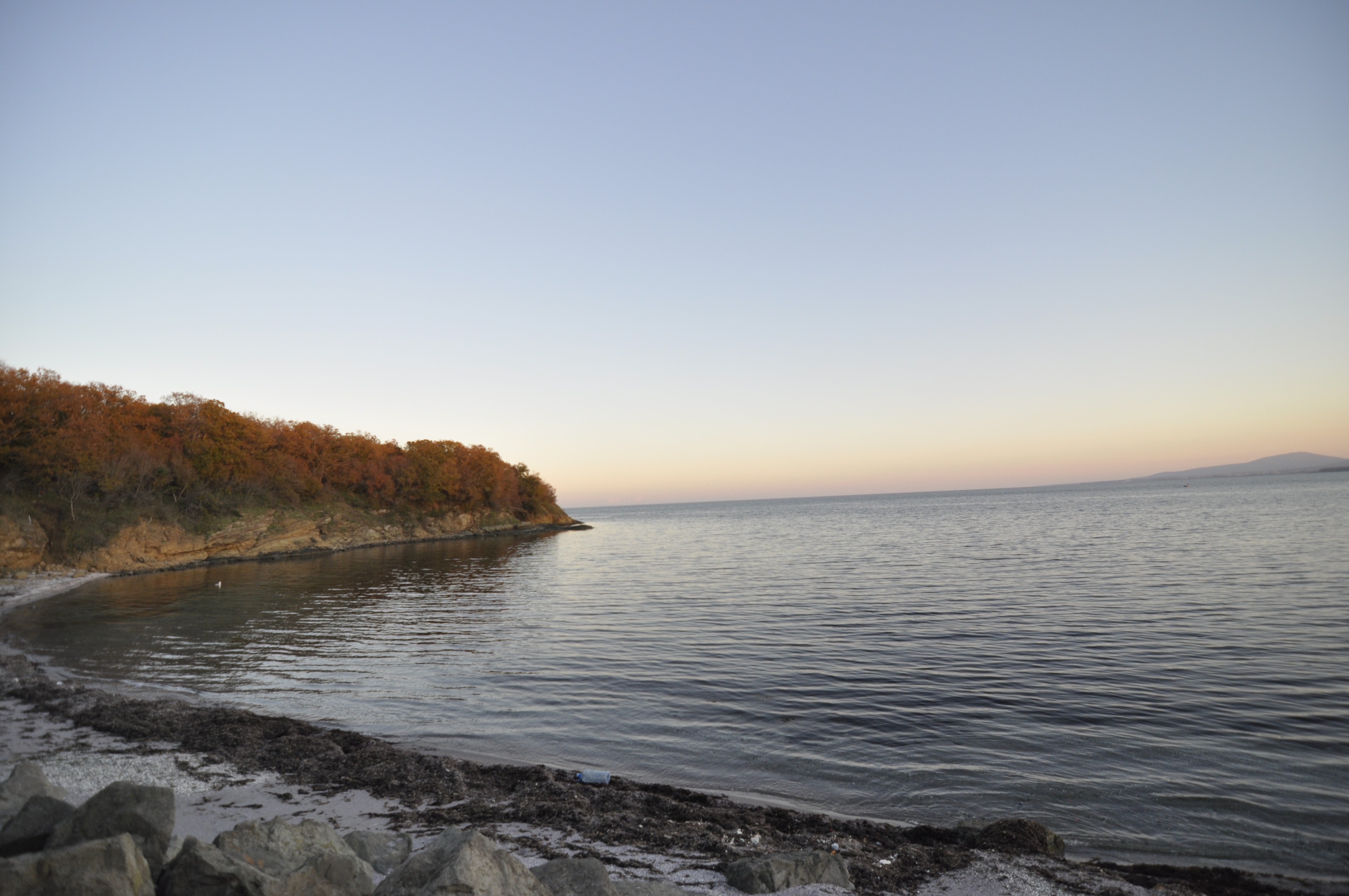 Scoutaround White Logo