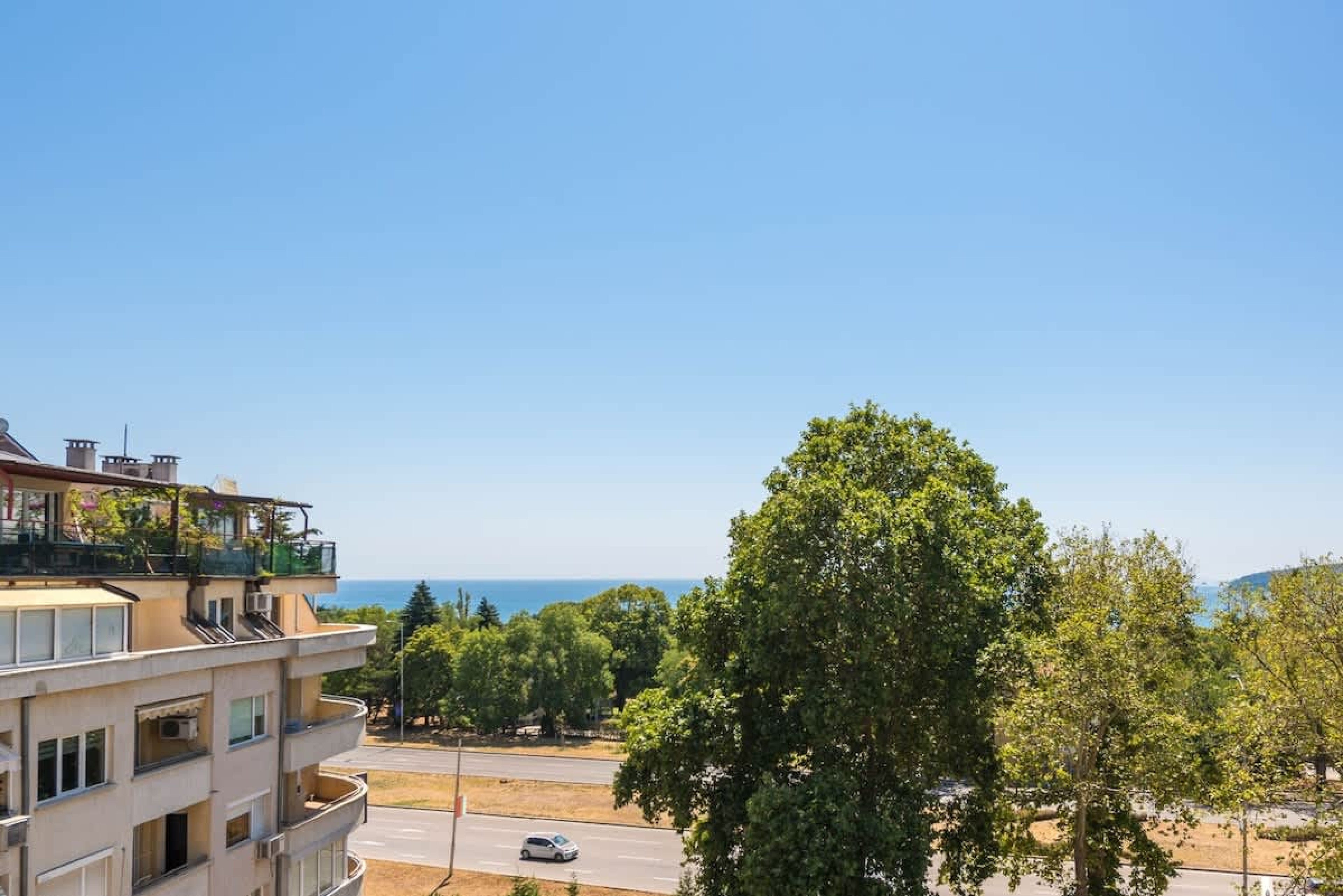 Scoutaround White Logo