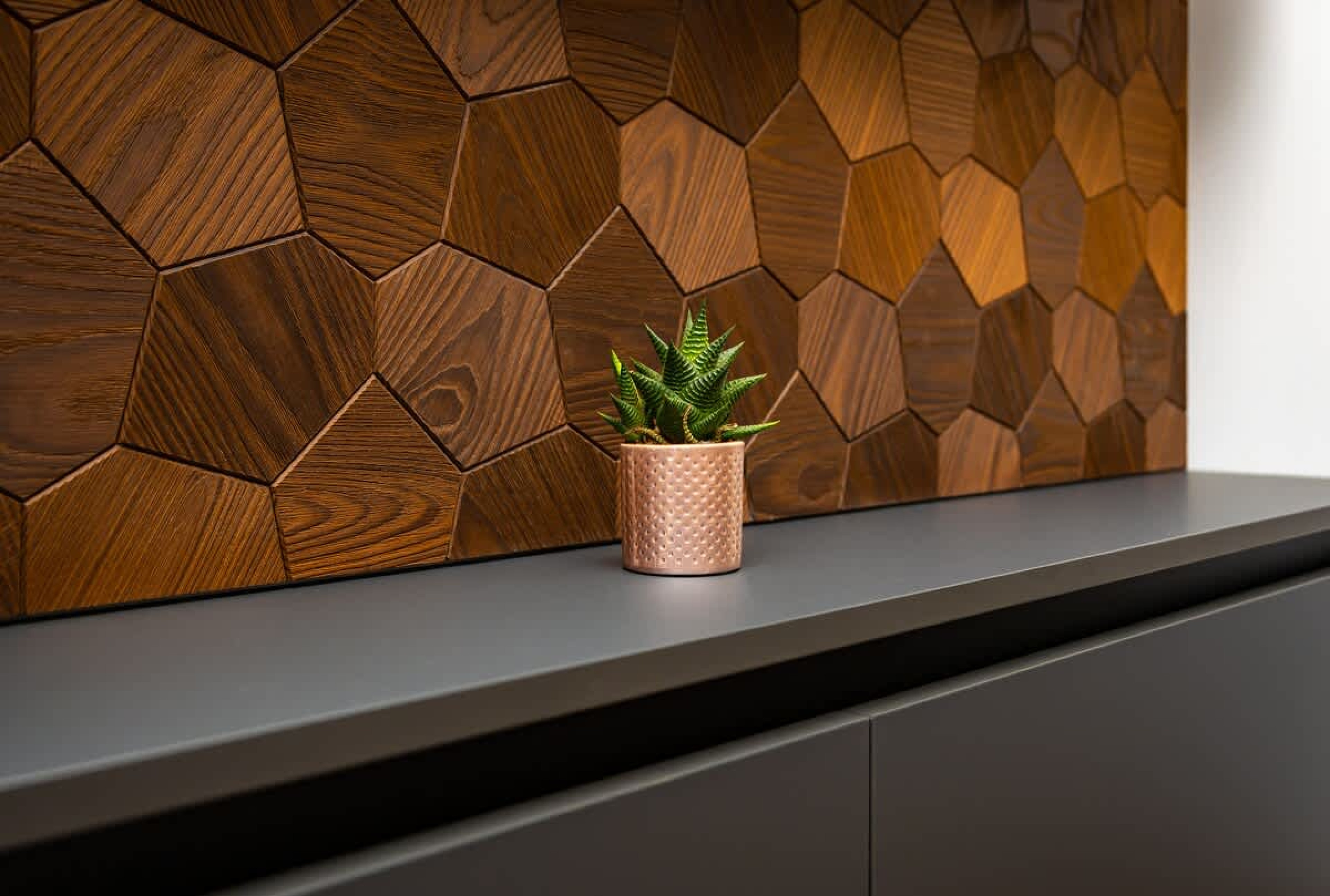 Scoutaround White Logo