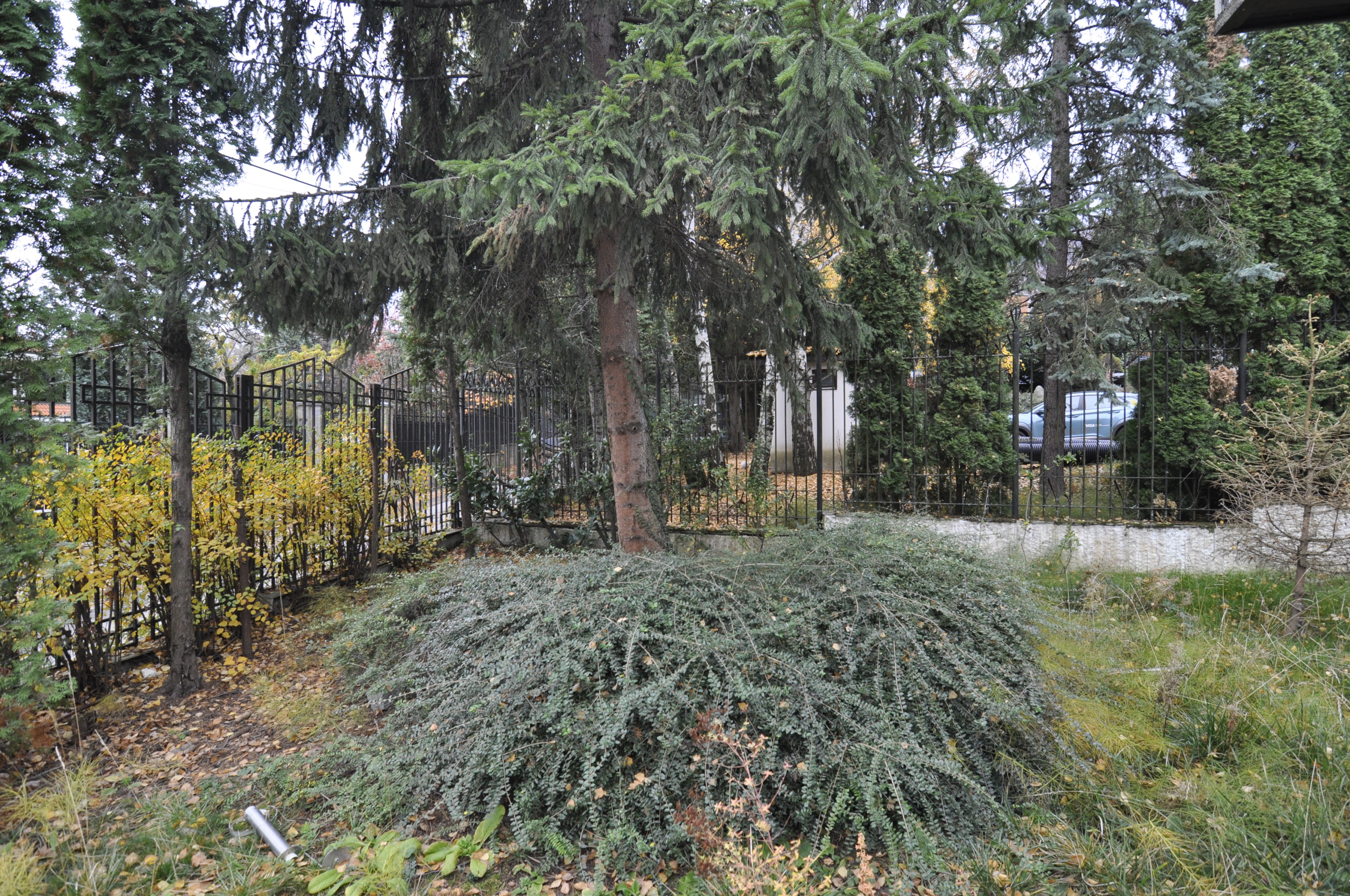 Scoutaround White Logo