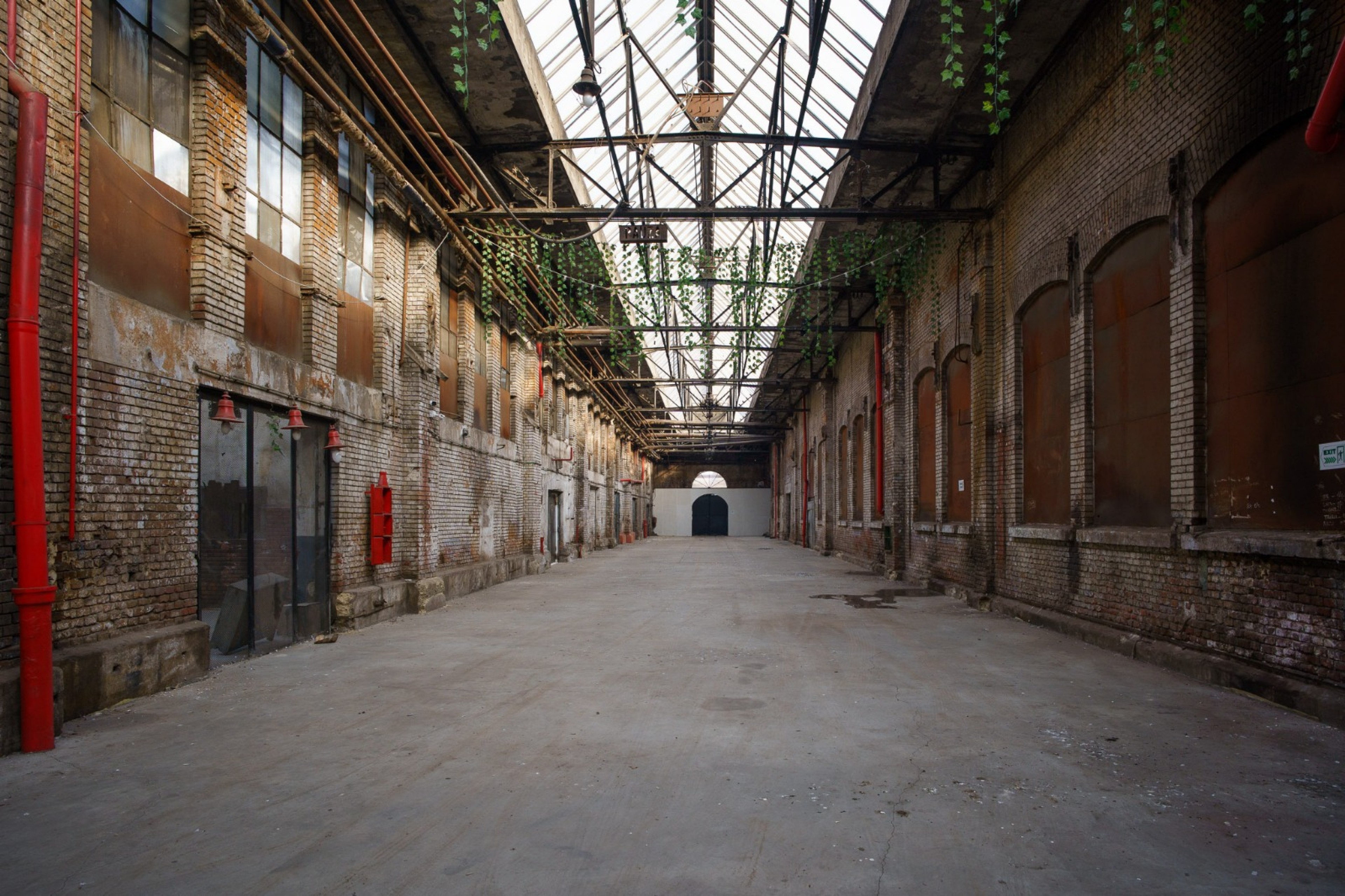 Scoutaround White Logo