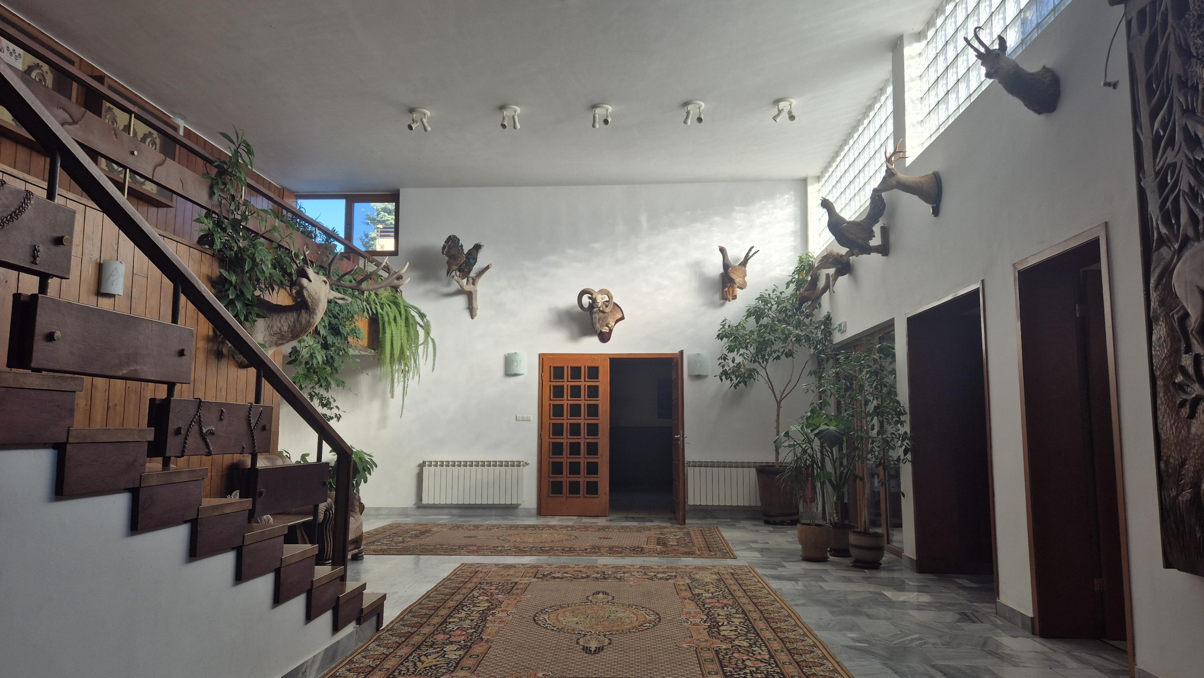 Main staircase / circulation