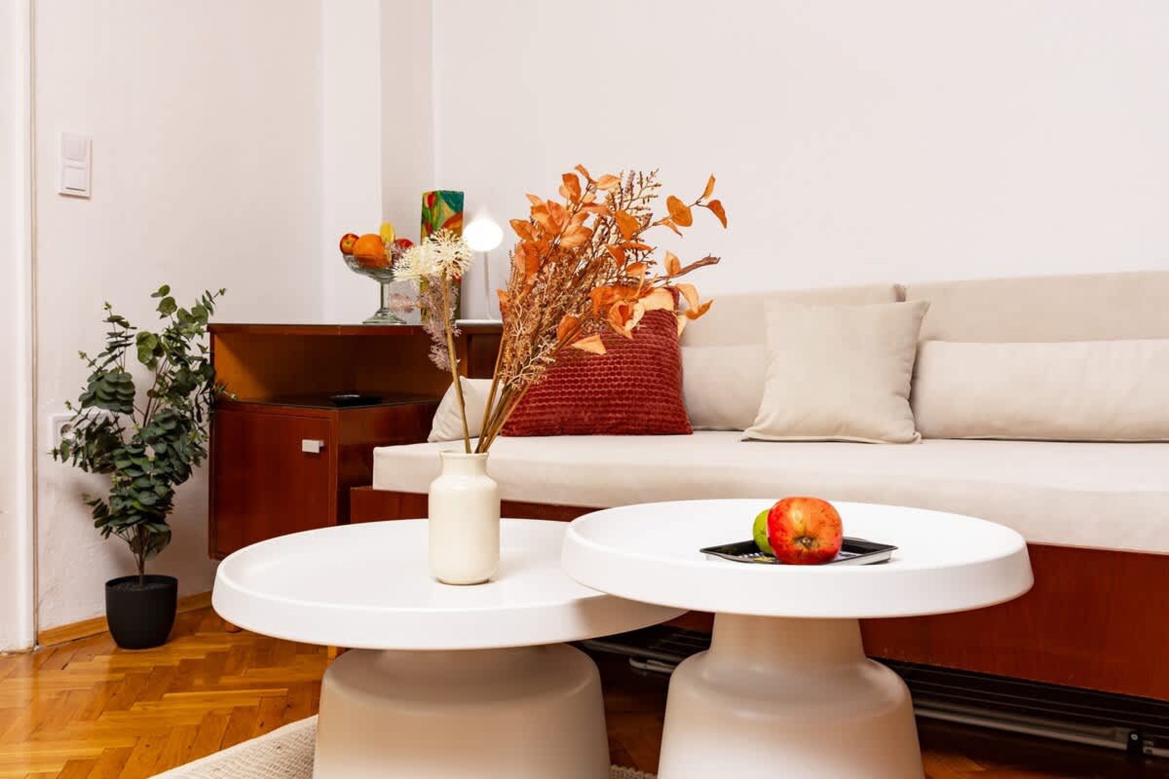 Scoutaround White Logo